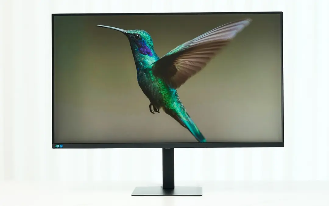 مدل ۳۷ اینچی مانیتور ViewFinity S8 سامسونگ درحال نمایش تصویر یک پرنده
