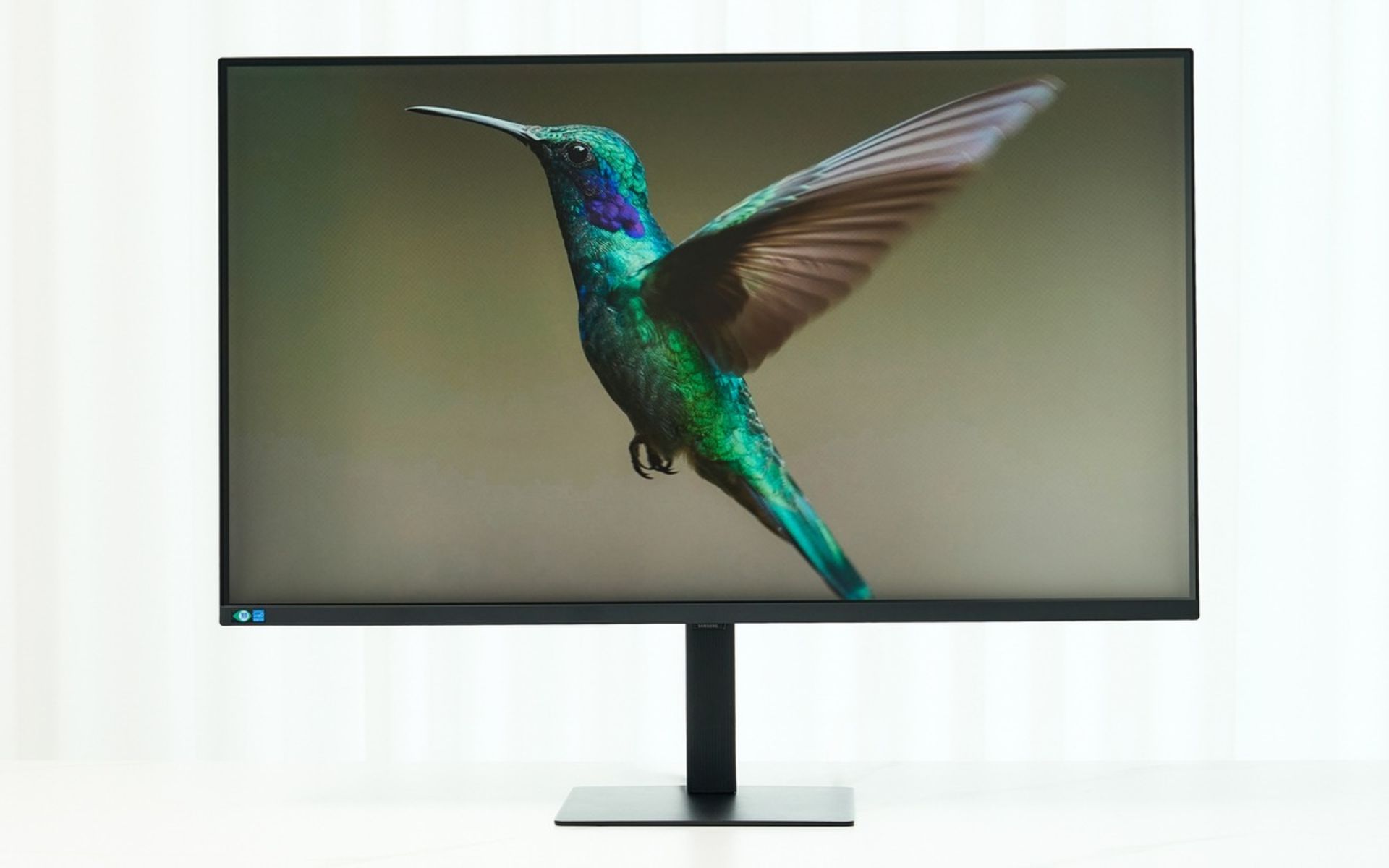 مدل ۳۷ اینچی مانیتور ViewFinity S8 سامسونگ درحال نمایش تصویر یک پرنده