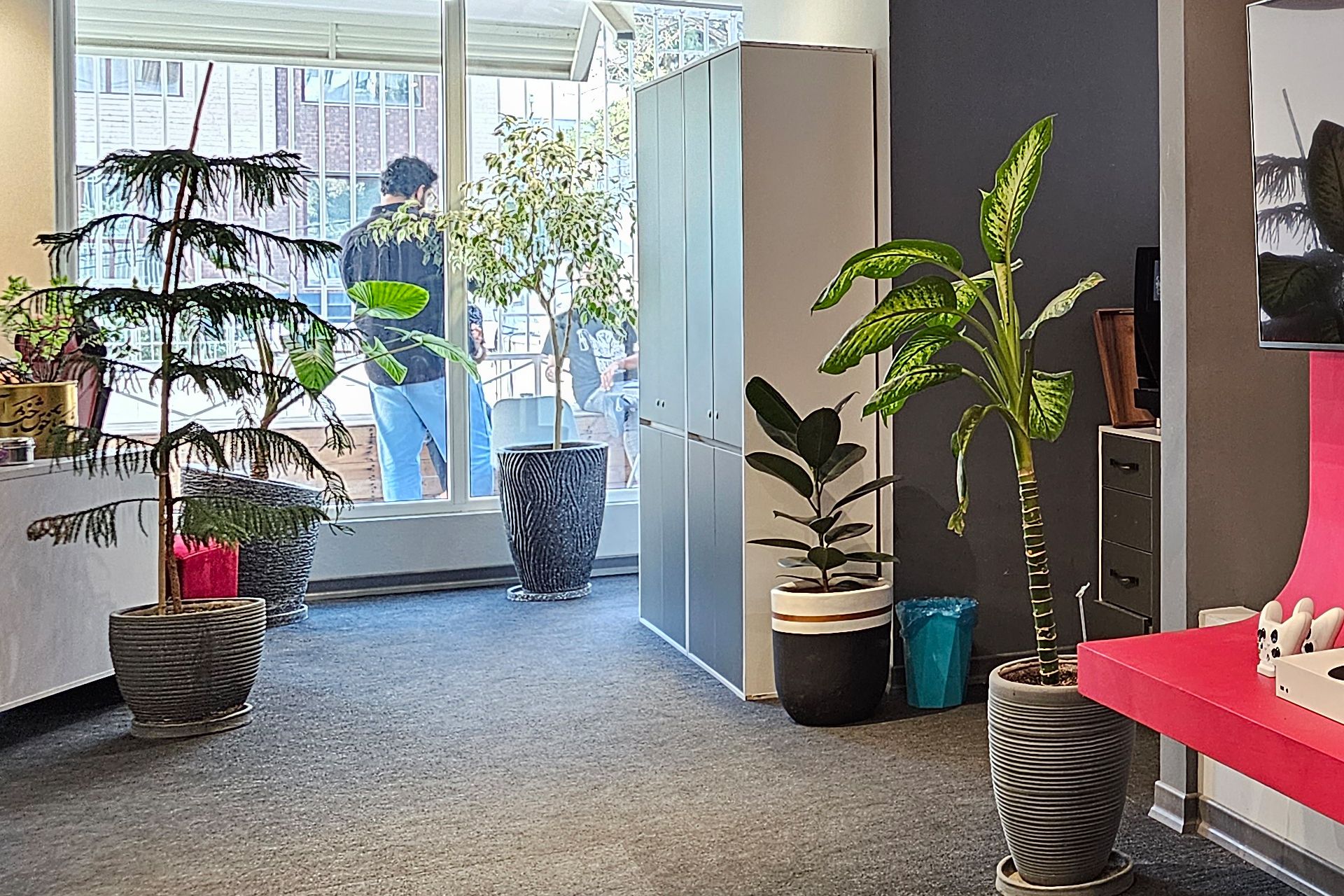 برش عکس دوربین واید گلکسی S23 اولترا - HDR