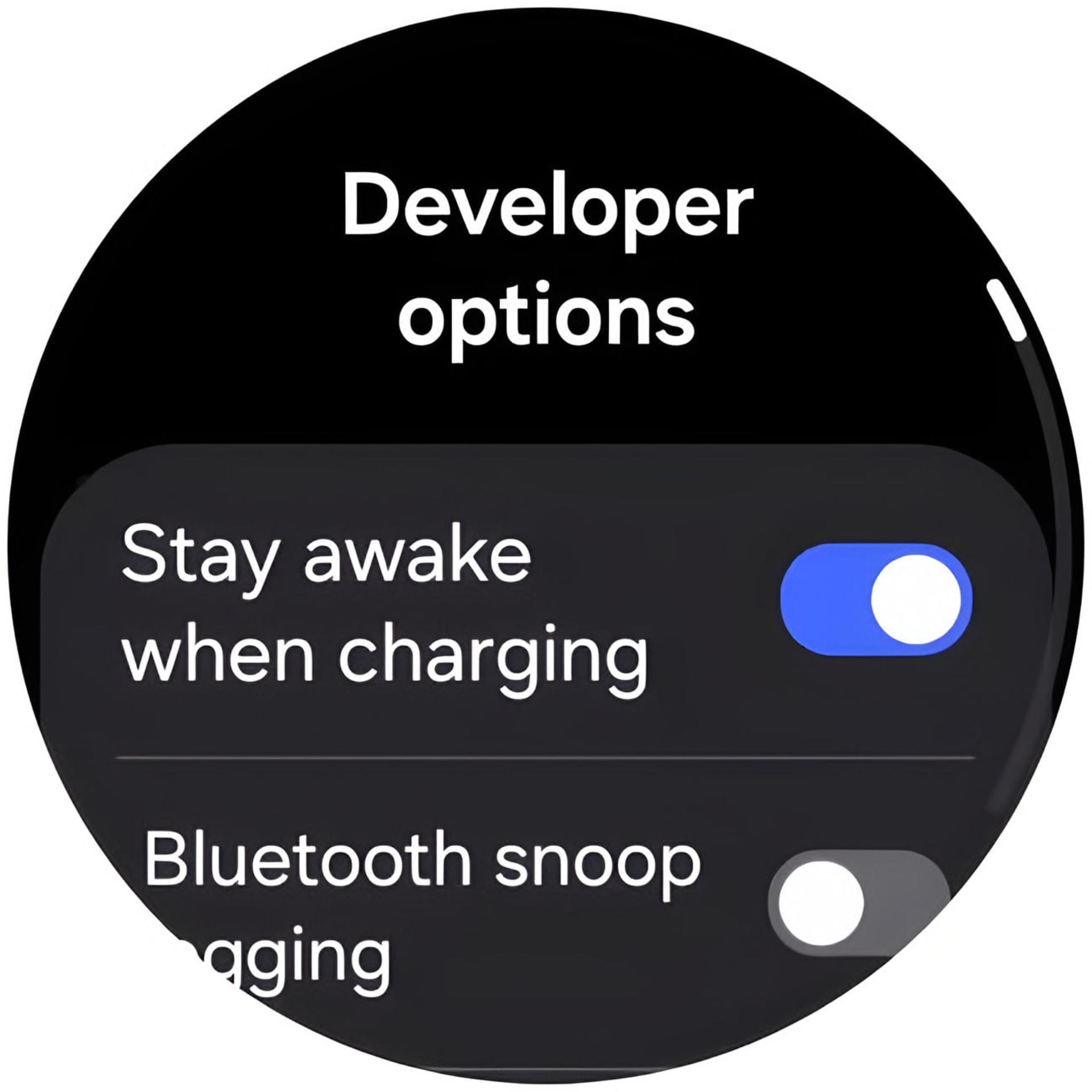 منوی تنظیمات توسعهدهنده (Developer options) در ساعت هوشمند گلکسی واچ سامسونگ (Samsung Galaxy Watch)