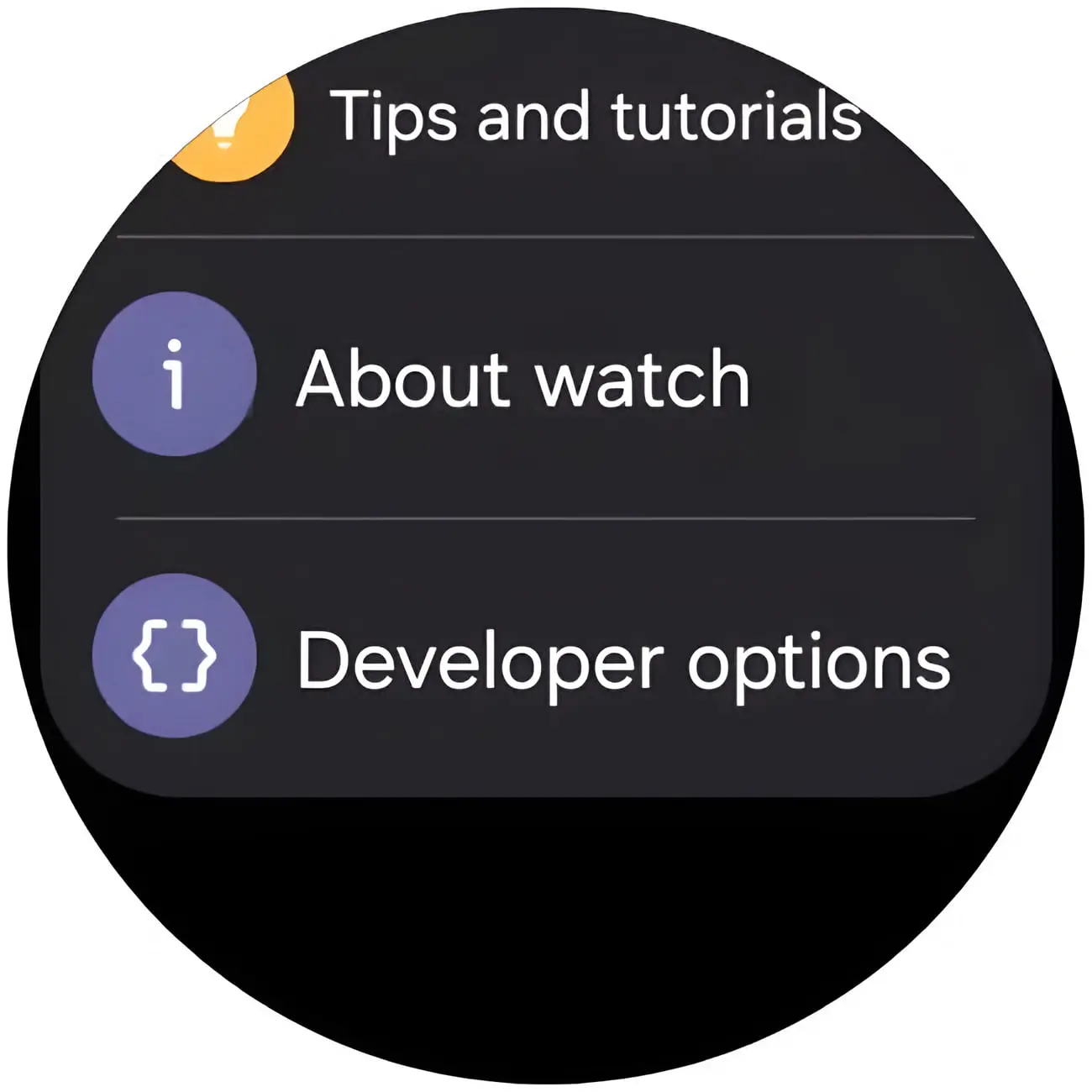 منوی تنظیمات گلکسی واچ (Galaxy Watch) شامل گزینه‌های راهنما و حالت توسعه‌دهنده