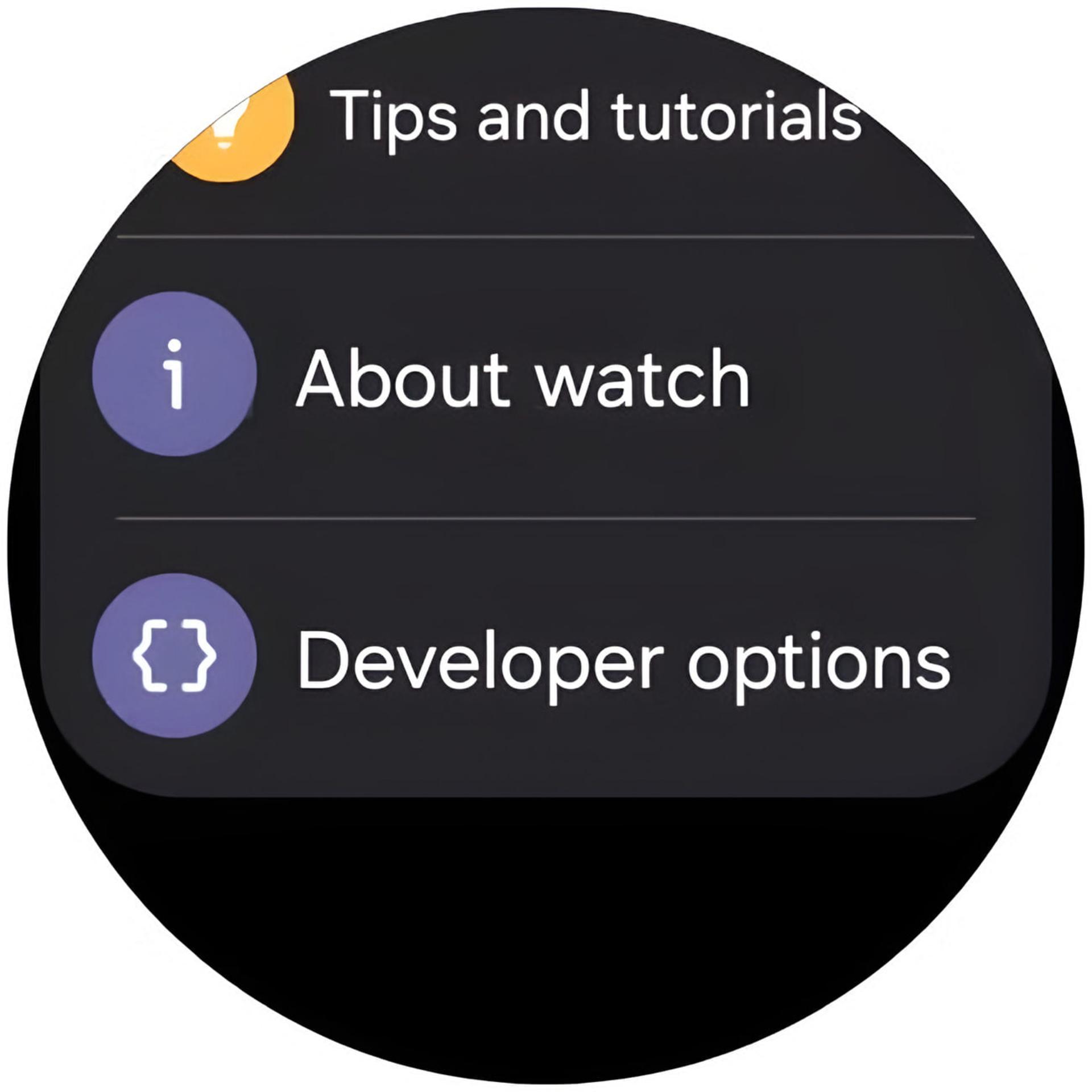 منوی تنظیمات گلکسی واچ (Galaxy Watch) شامل گزینههای راهنما و حالت توسعهدهنده