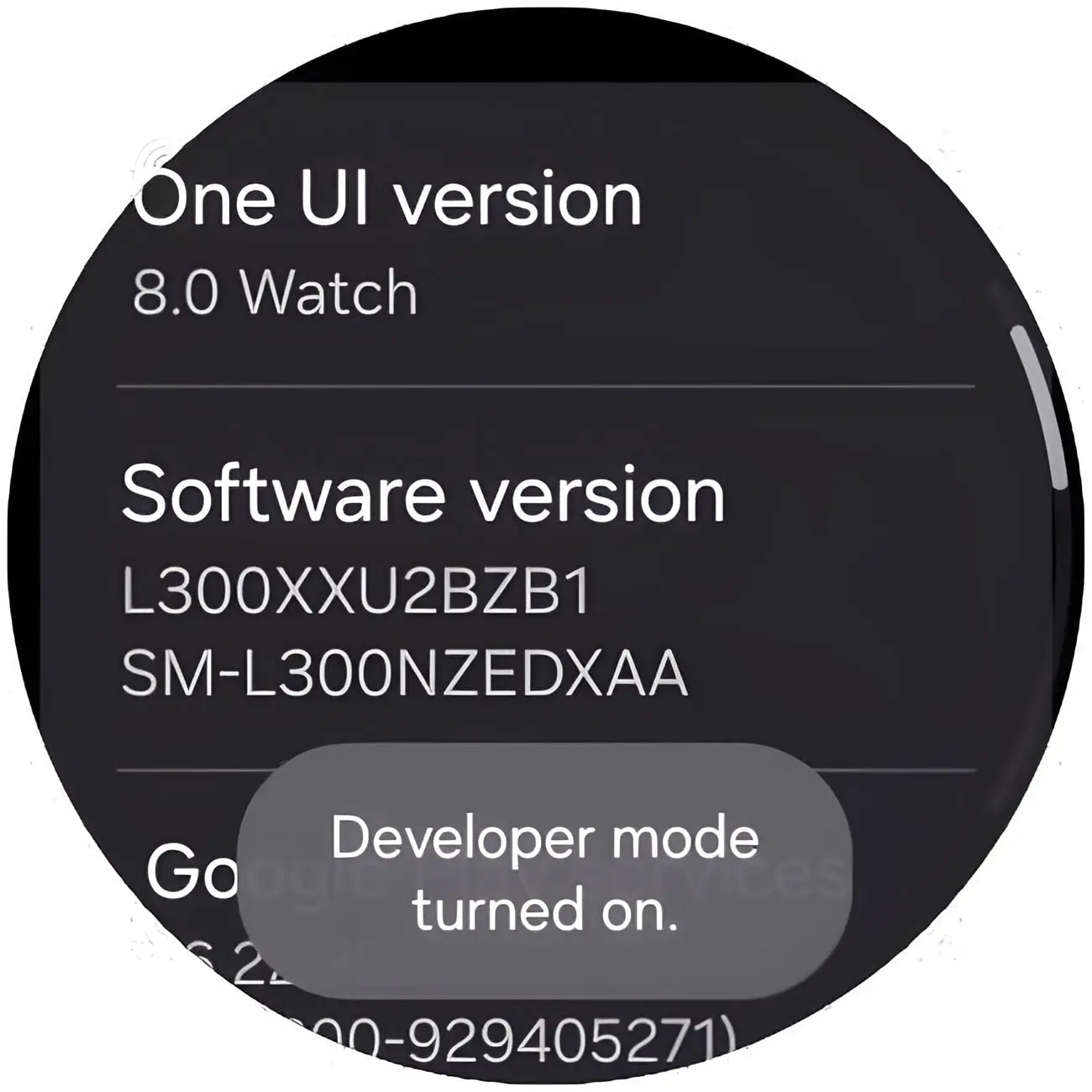 منوی تنظیمات ساعت هوشمند سامسونگ (Samsung) با پیام فعال شدن Developer mode