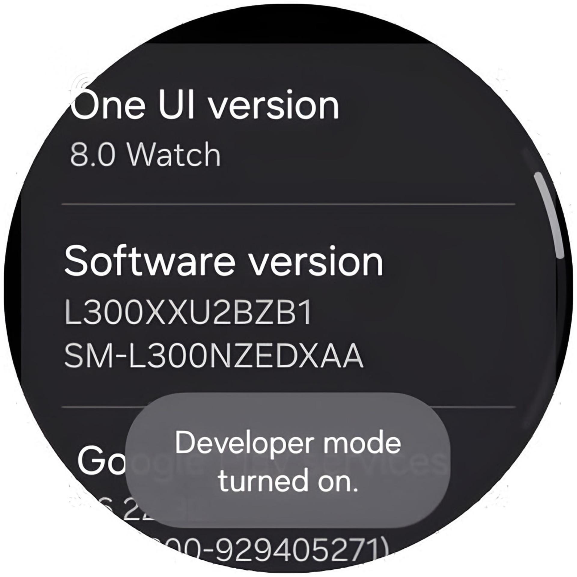 منوی تنظیمات ساعت هوشمند سامسونگ (Samsung) با پیام فعال شدن Developer mode