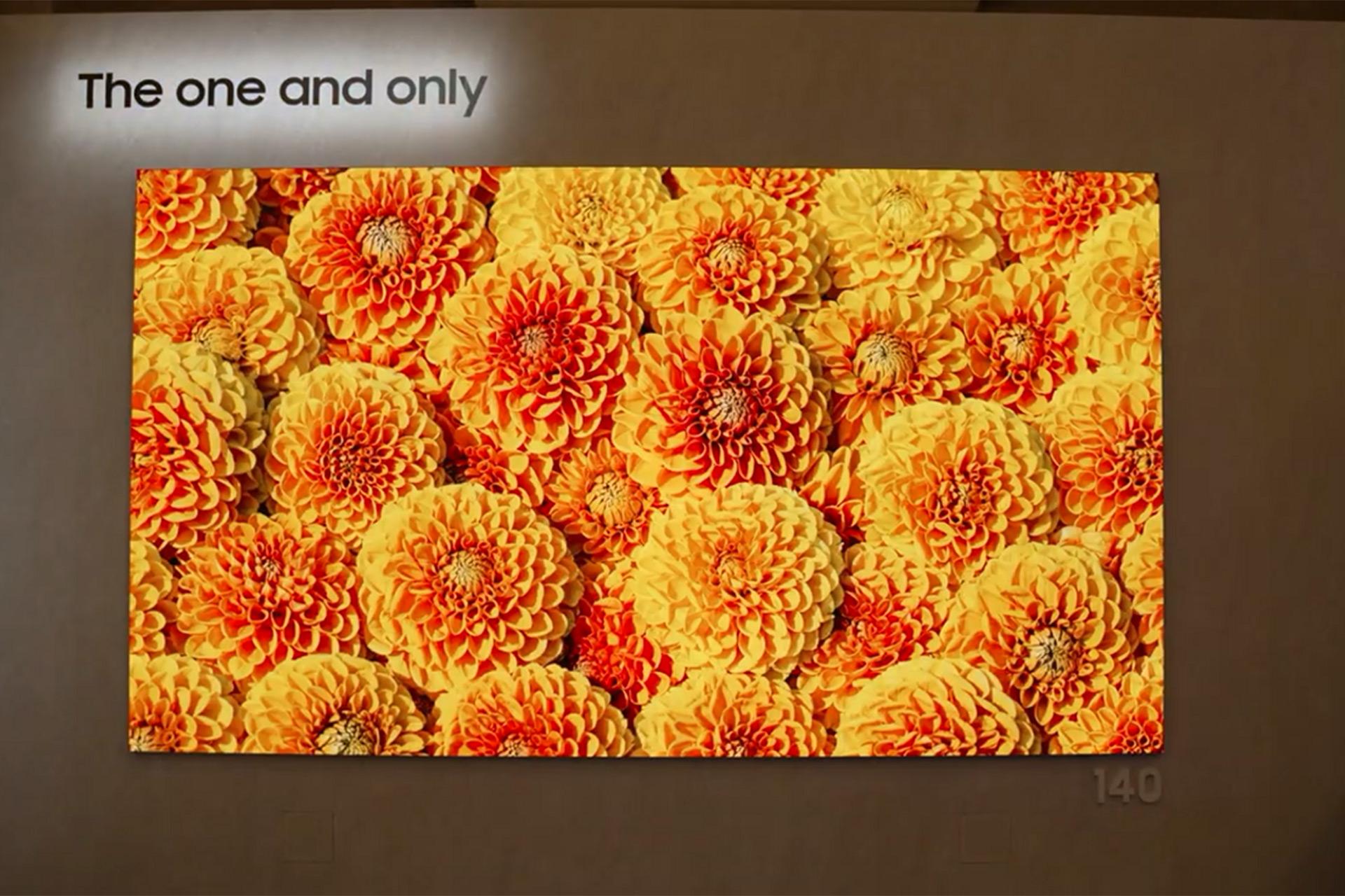 تلویزیون‌ ۱۴۰ اینچی MicroLED سامسونگ روی دیوار درحال نمایش گل