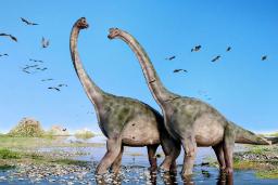 چگونه دایناسورهای ساروپود به عظیم‌ترین حیوانات روی زمین تبدیل شدند؟