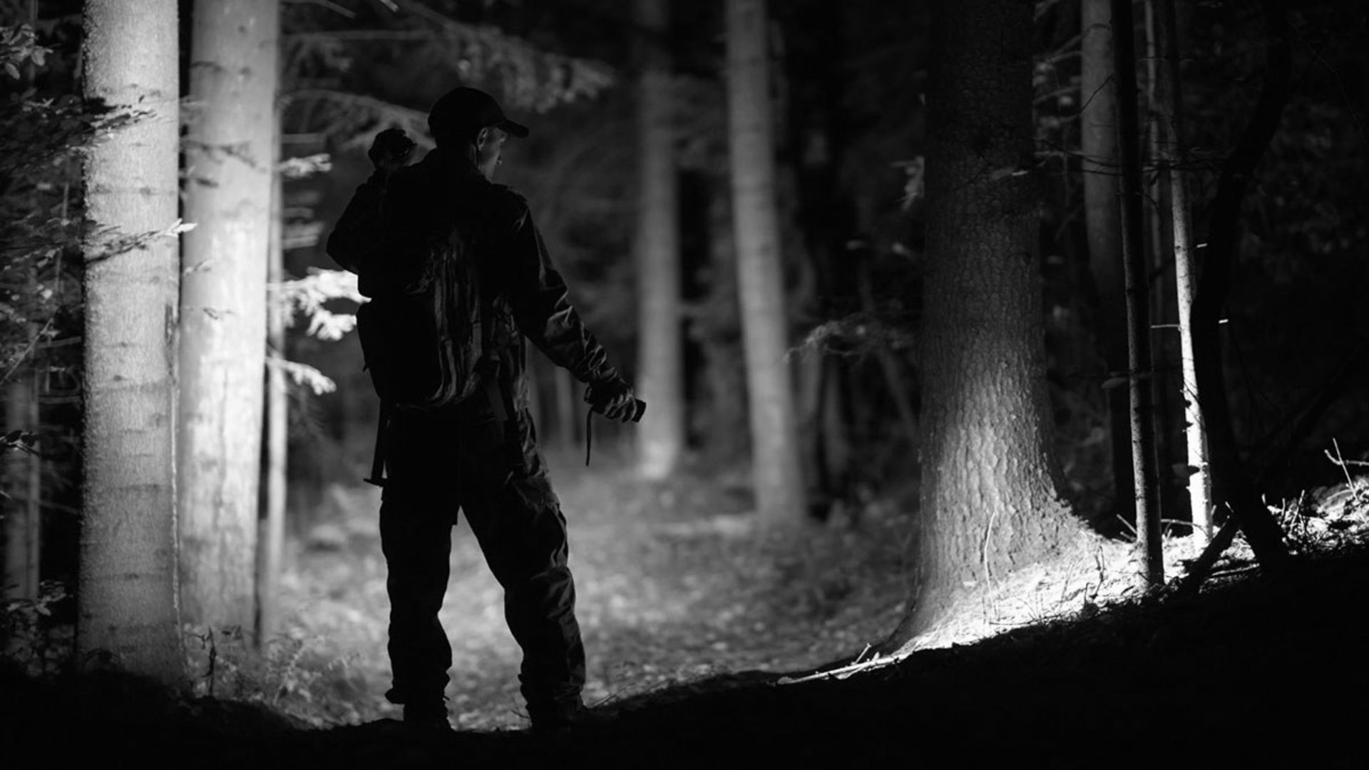 مردی در حاشیه جنگل