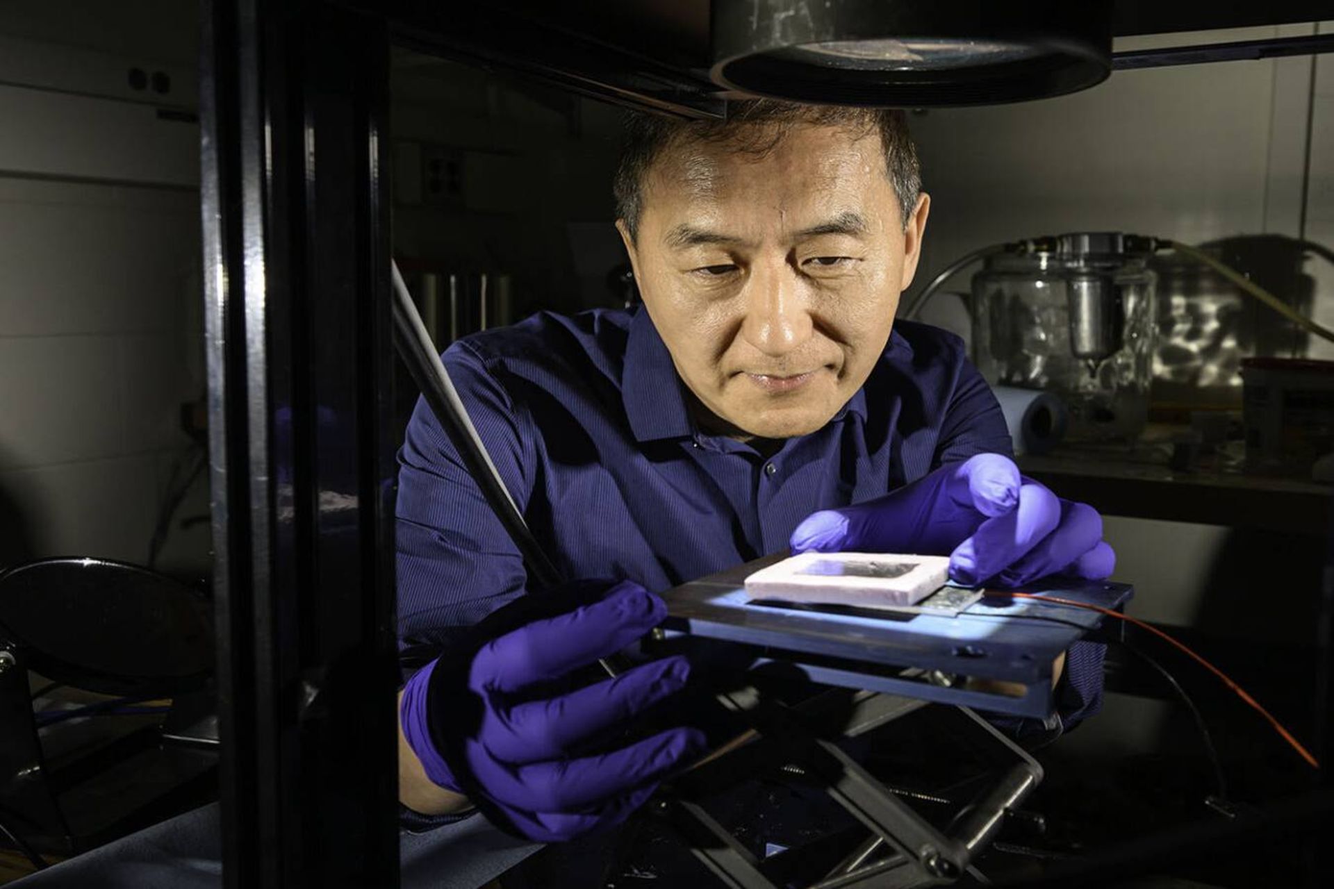 چونلی گو استاد دانشگاه راچستر 