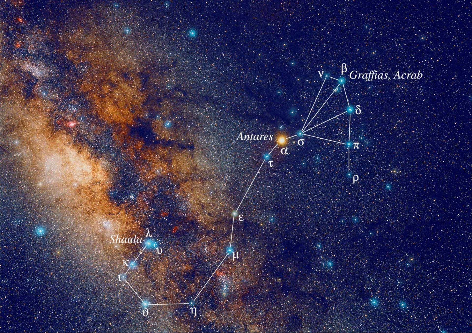 Scorpio constellation stars