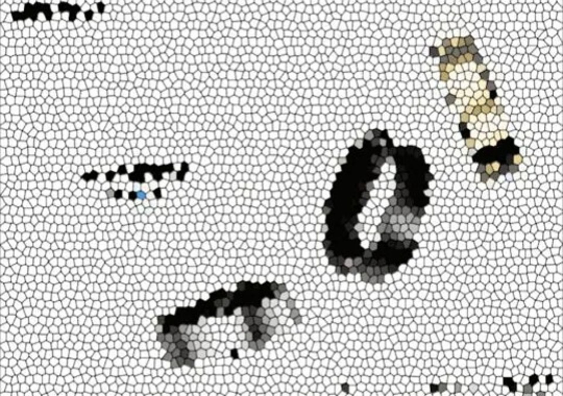 رندر منتسب‌به گلکسی رینگ در سه رنگ مختلف