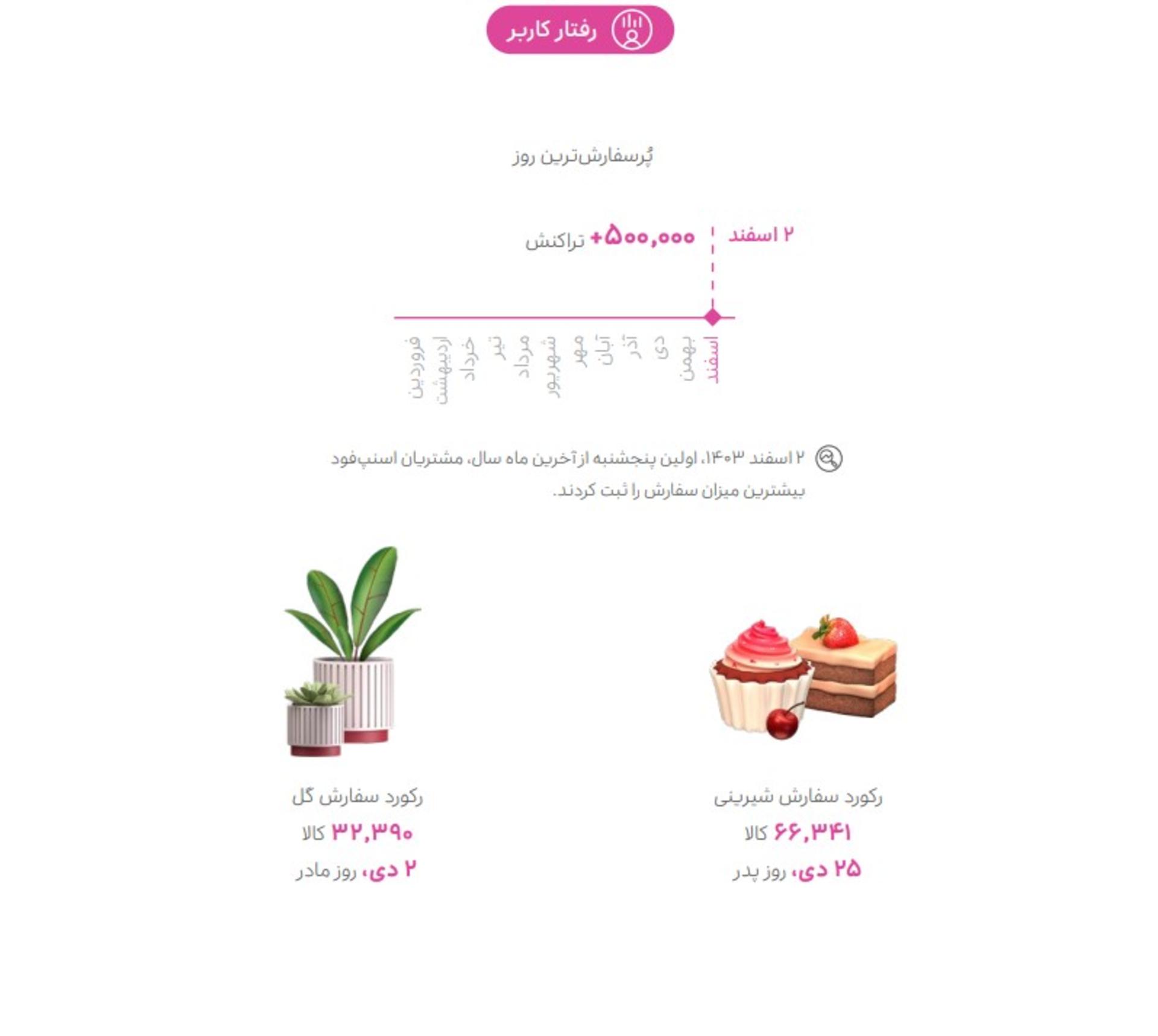 گزارش سال ۱۴۰۳ اسنپ