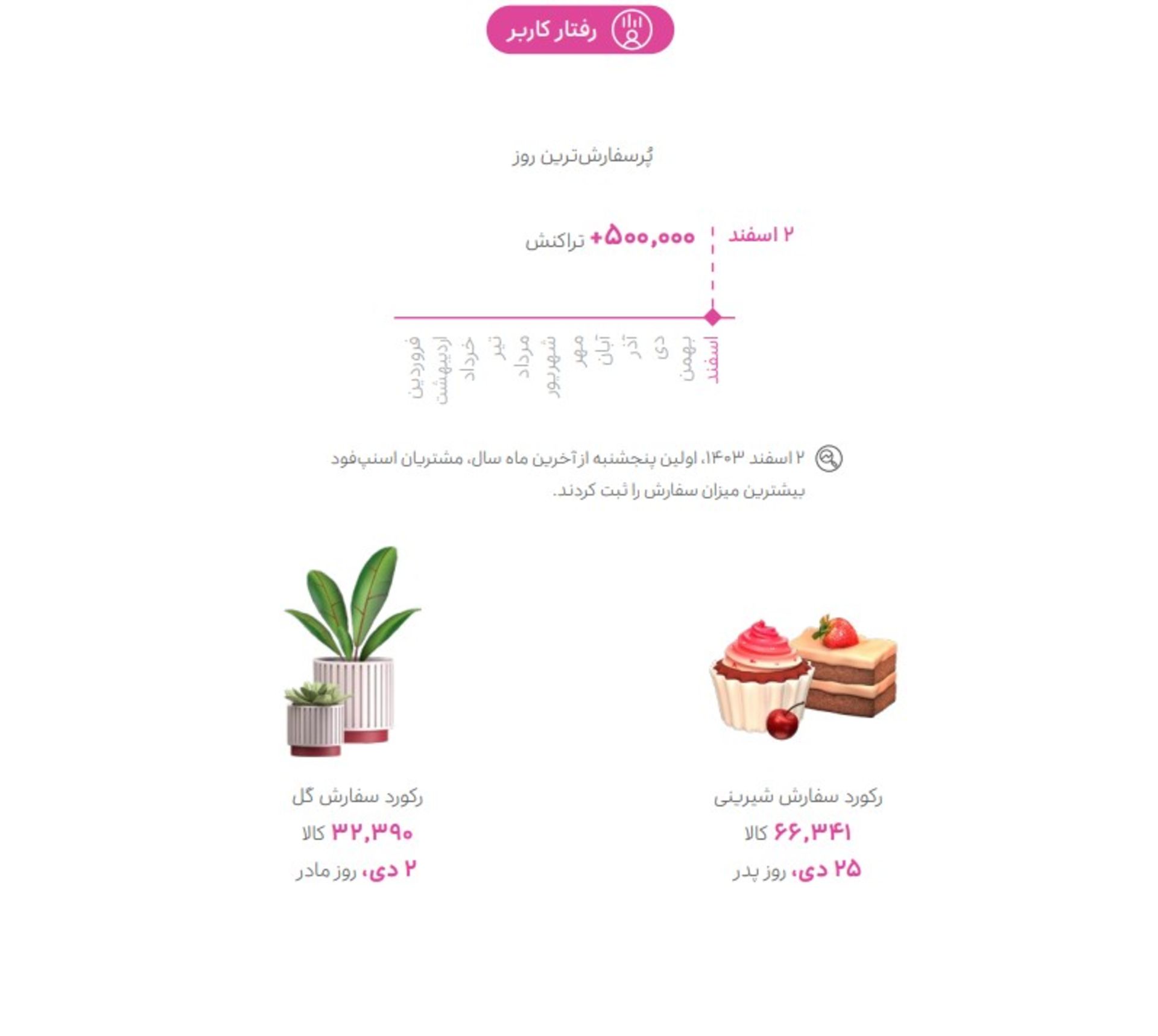 گزارش سال ۱۴۰۳ اسنپ