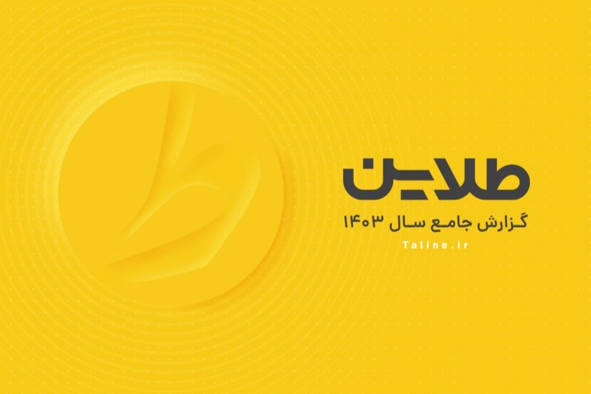 گزارش سال ۱۴۰۳ طلاین