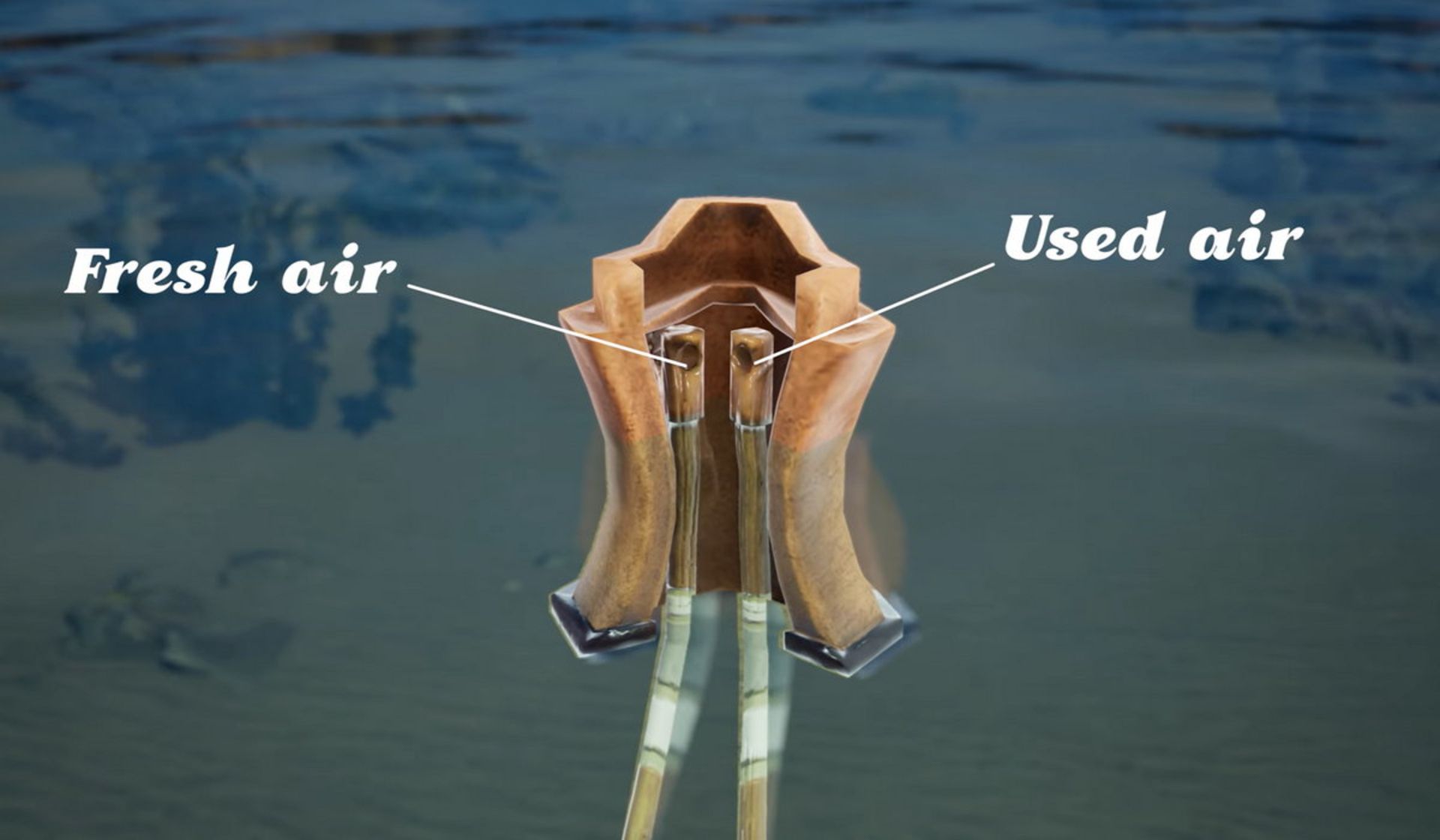 شبیه‌سازی‌ محفظه هوای لباس غواصی داوینچی  