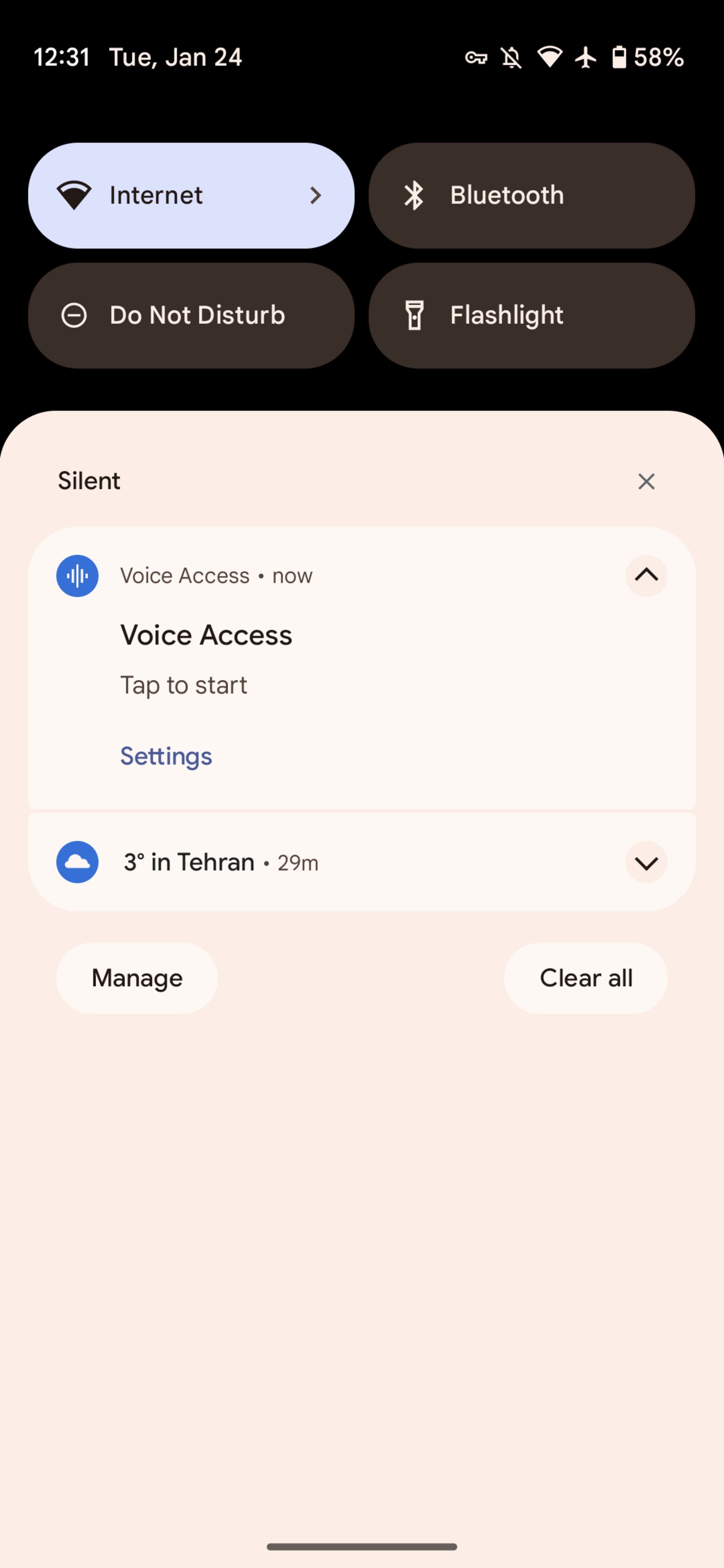 active voice play and pause
