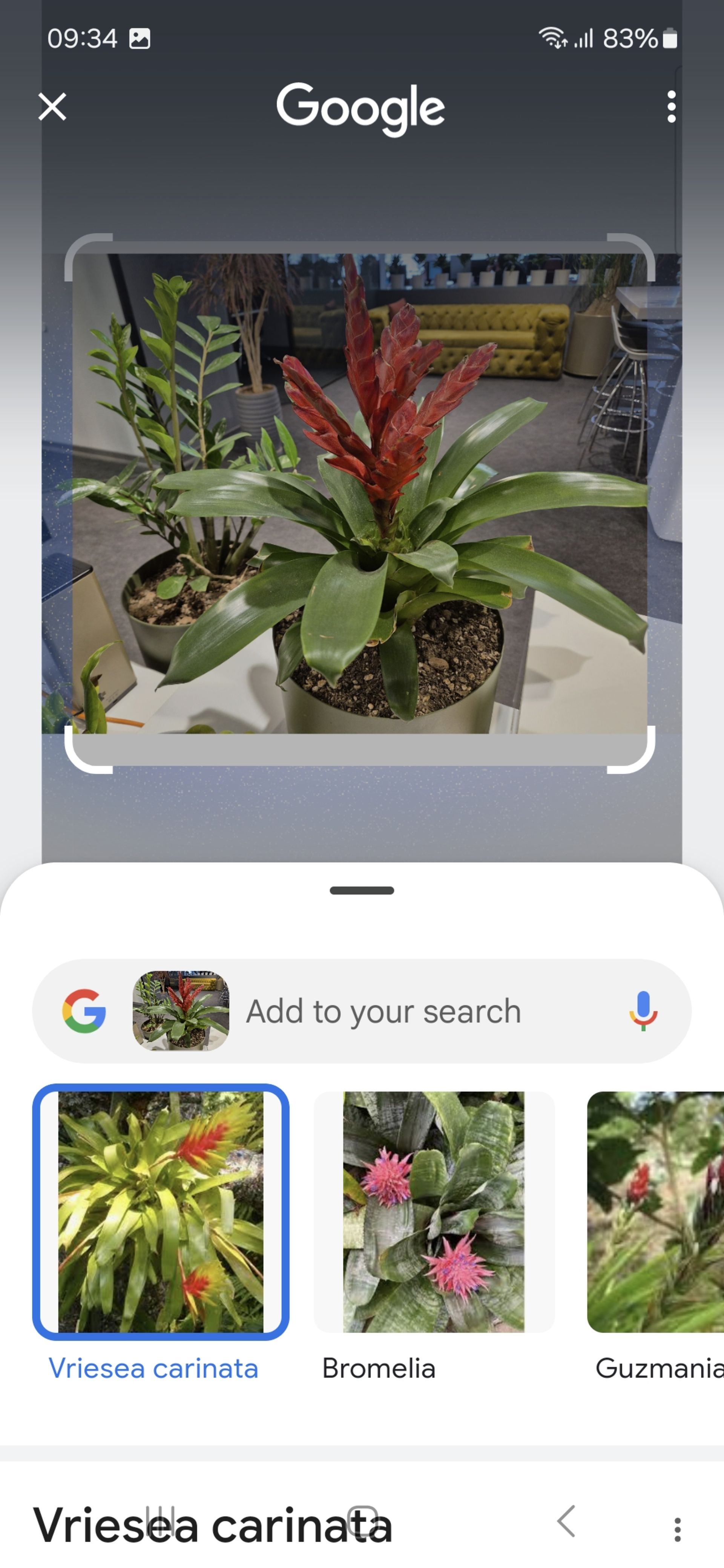 Galaxy AI Circle to search