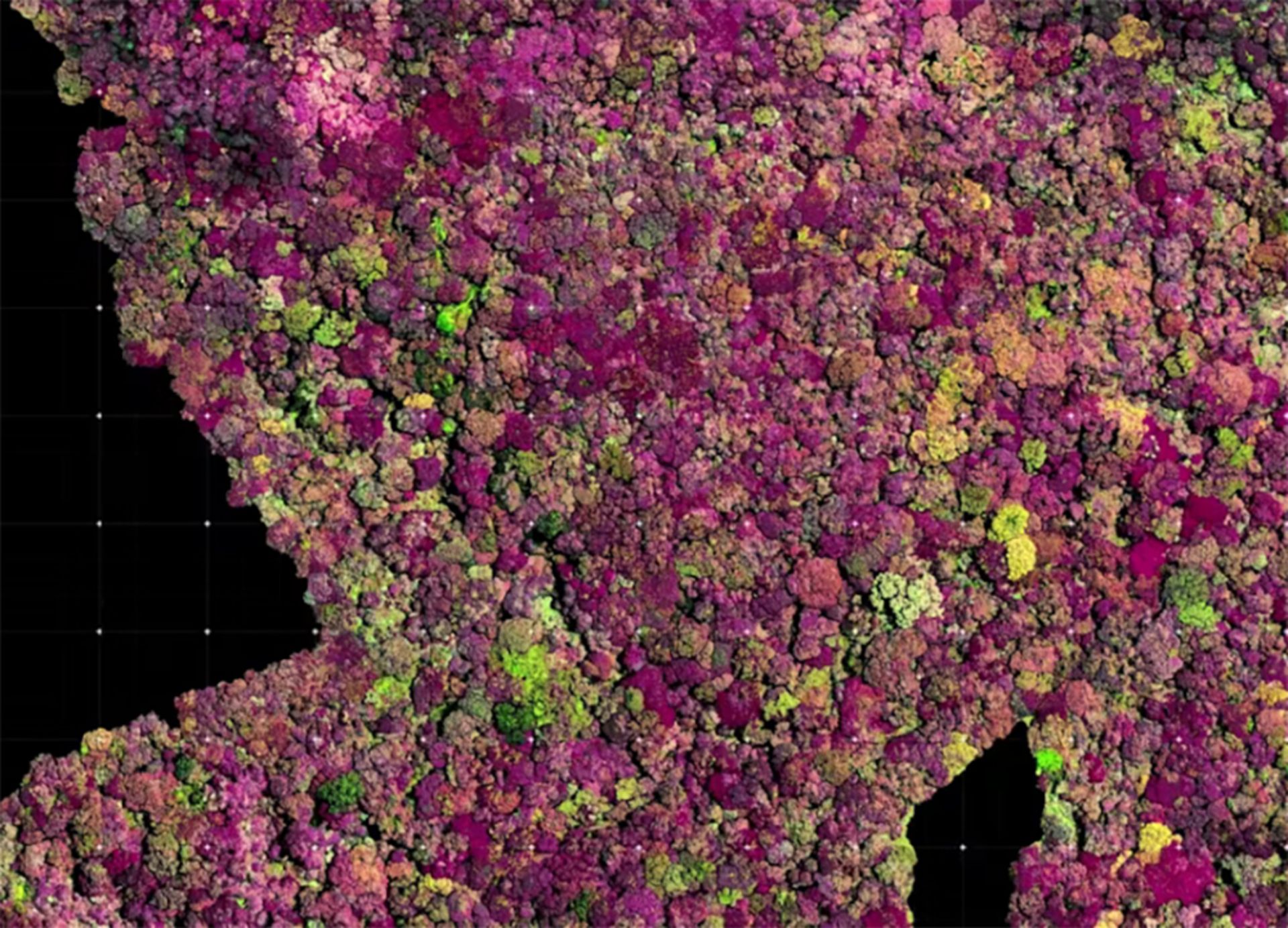 نقشه هوایی برای جستجوی نخل وود