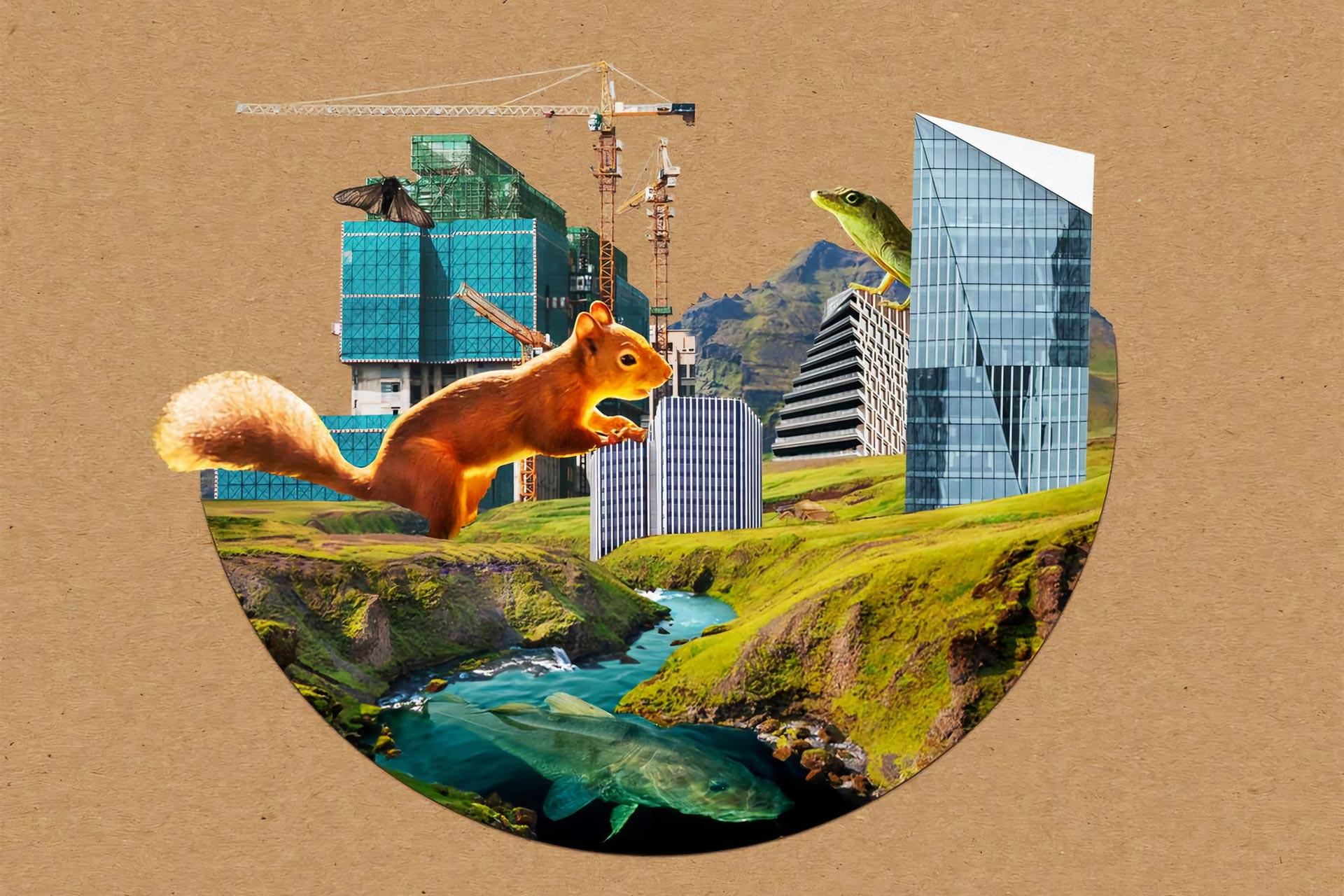 تکامل زیر سلطه انسان: ما چگونه حیوانات را با دنیای خودمان سازگار کرده‌ایم؟