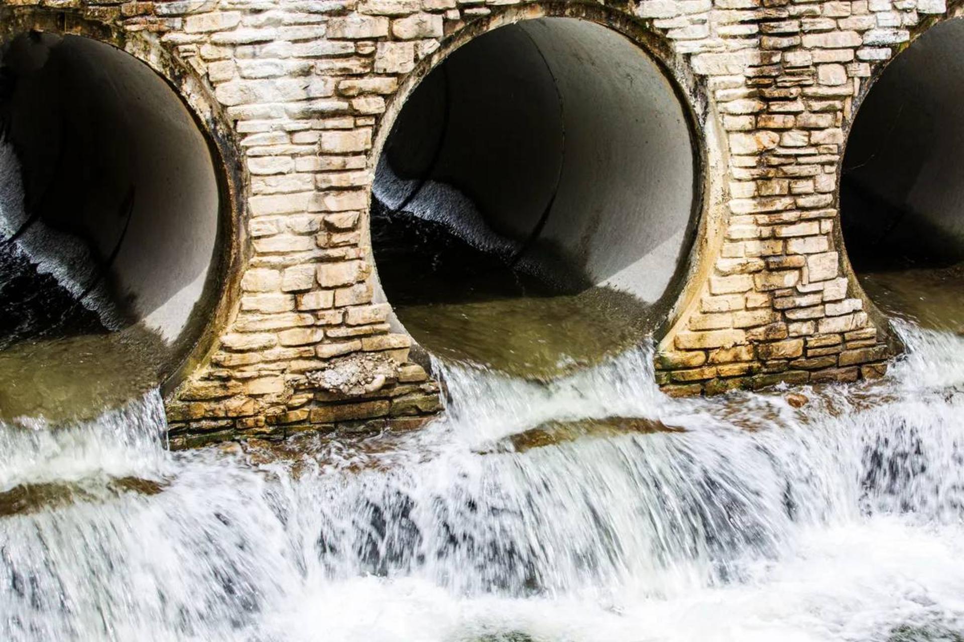 محیط‌زیست؛ عامل مؤثر نادیده‌گرفته‌شده در ایجاد بحران مقاومت آنتی‌بیوتیکی