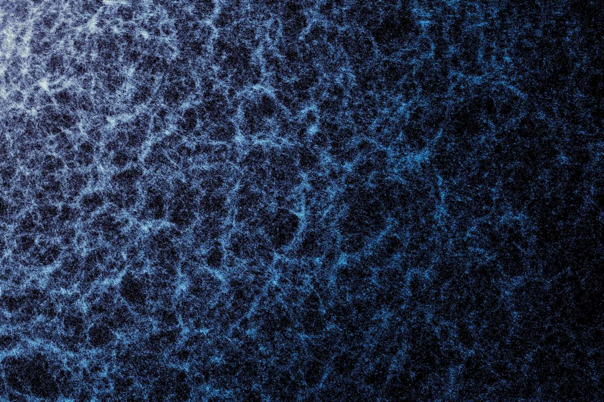 بخش کوچکی از پیمایش پنج‌ساله ابزار طیف‌سنجی انرژی تاریک (DESI) که ساختار کلان کیهان و چیدمان ناشی از گرانش را به تصویر می‌کشد.