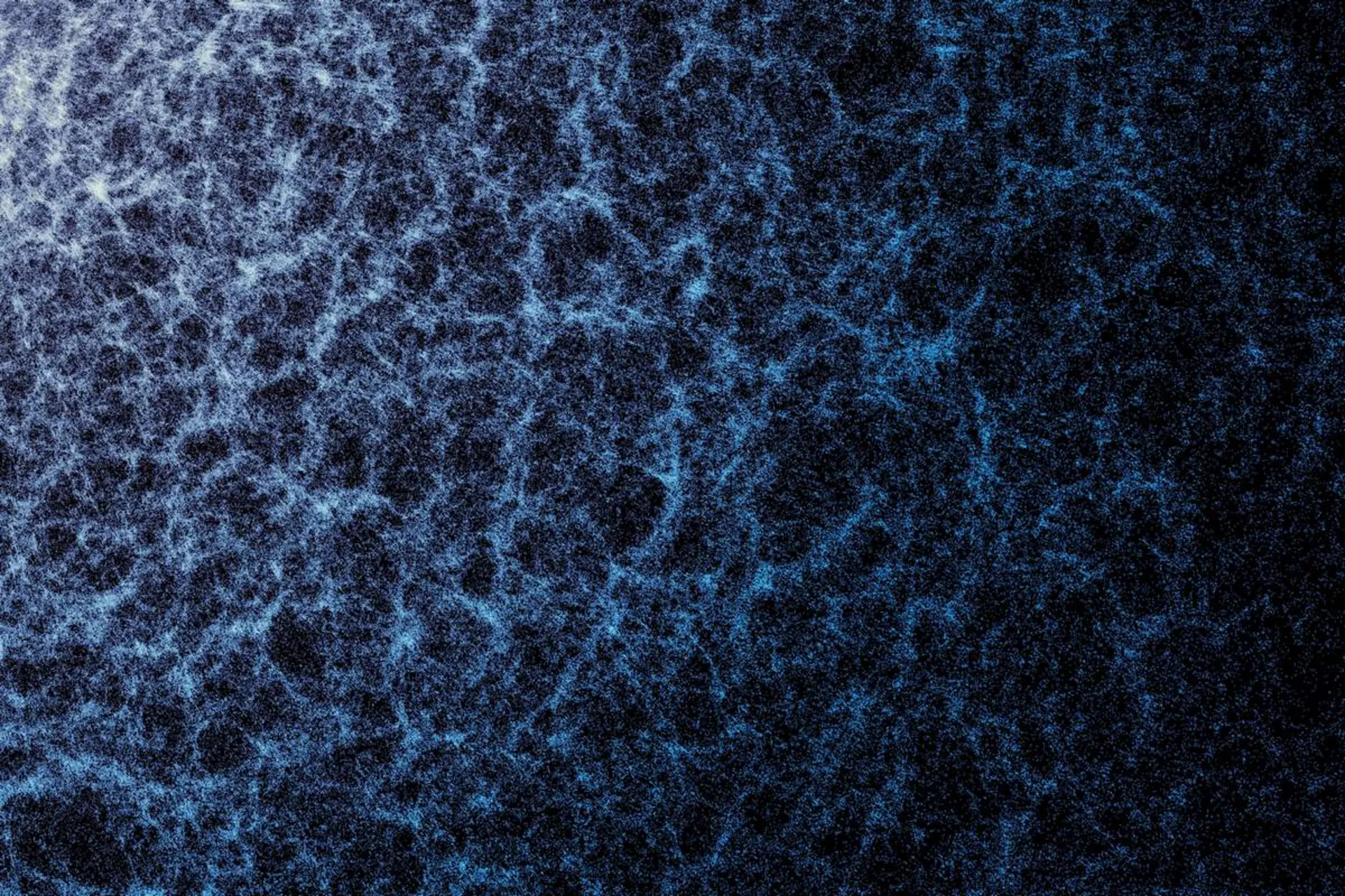 بخش کوچکی از پیمایش پنج‌ساله ابزار طیف‌سنجی انرژی تاریک (DESI) که ساختار کلان کیهان و چیدمان ناشی از گرانش را به تصویر می‌کشد.