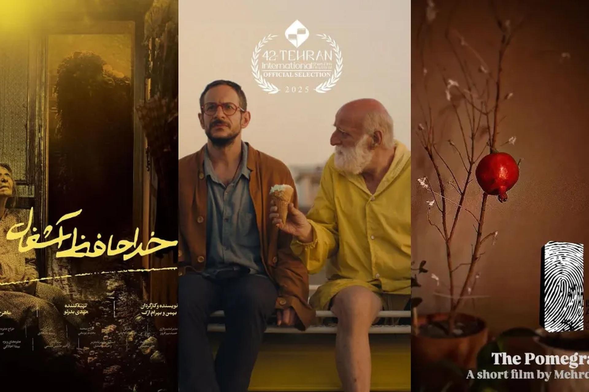 بررسی فیلمهای کوتاه جشنواره فیلم کوتاه تهران ۱۴۰۴