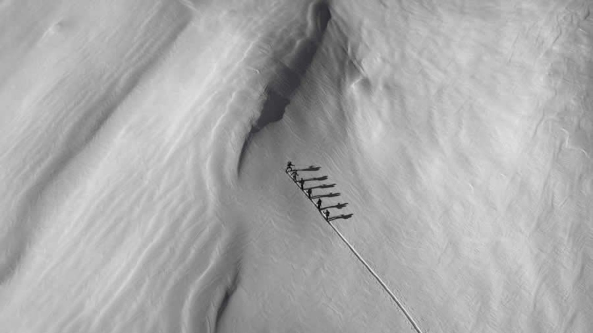 بخش ورزش – تقدیر ویژه: «صعود» اثر سیریل پیلت برنده Siena 2025