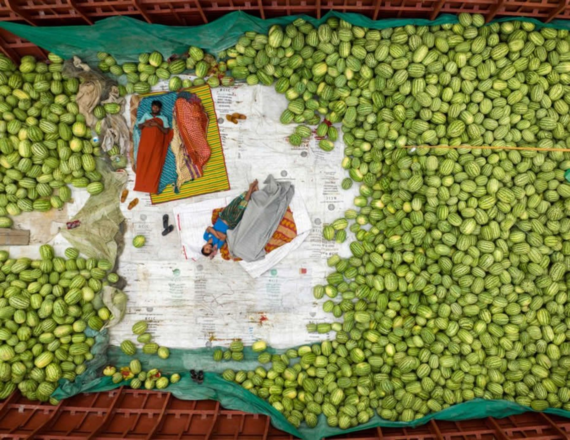 بخش مردم – تقدیر ویژه: «خواب‌آلودهای هندوانه‌ای» اثر مصطفی جور رحمان برنده Siena 2025