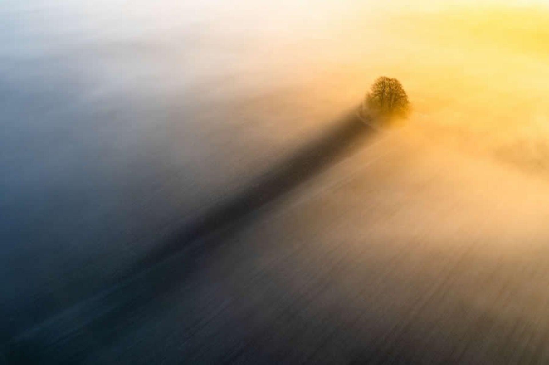 بخش طبیعت – رتبه اول: «سایه بلند» اثر کریستوفر هریسون برنده Siena 2025