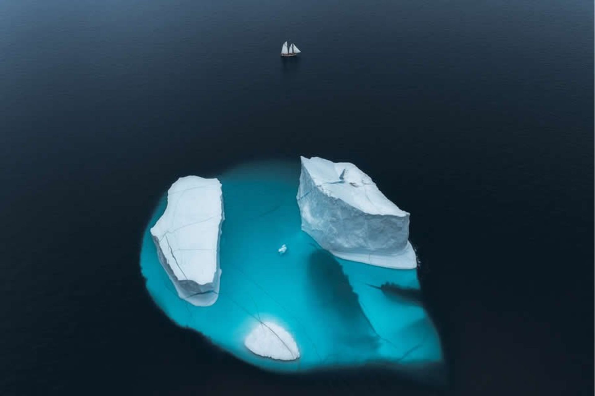 بخش طبیعت – رتبه دوم: «مقیاس» اثر تورارین جانسون برنده Siena 2025