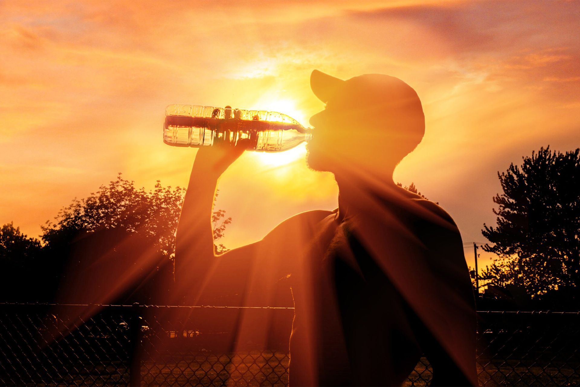 ردی در حال نوشیدن آب در موج گرمایی