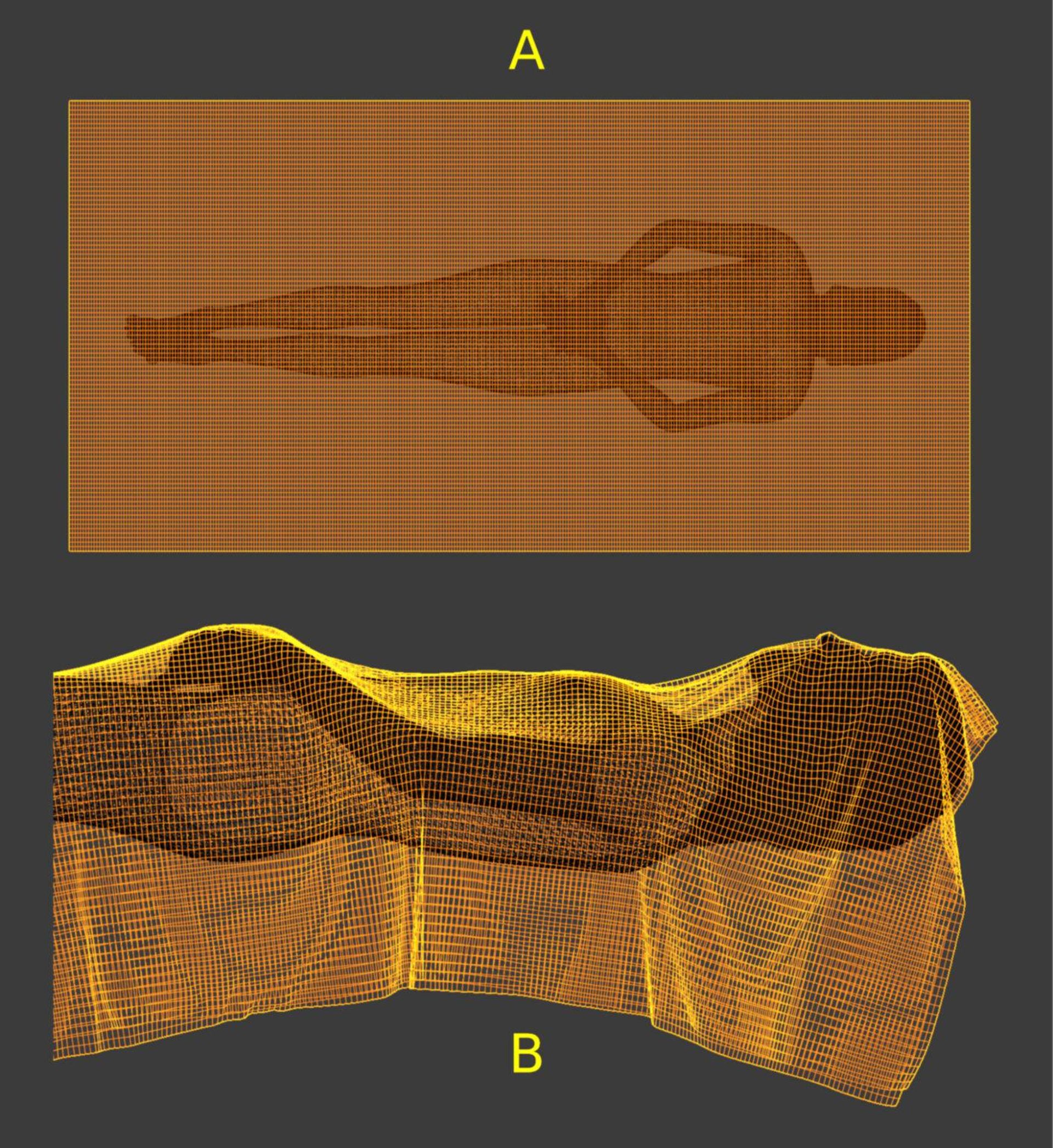 شبیه سازی پارچه 