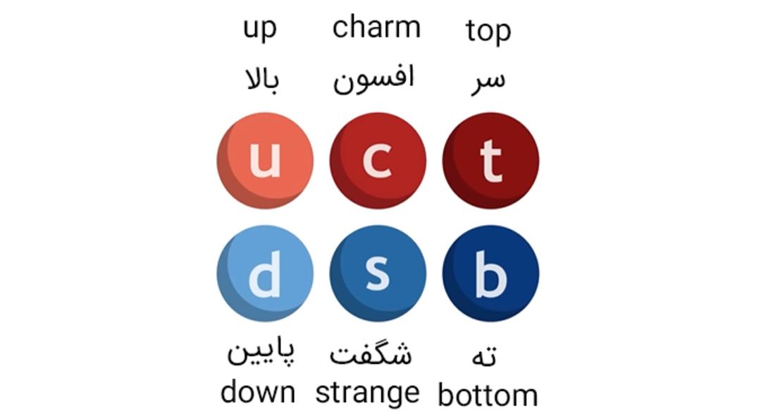 شش نوع کوارک مختلف