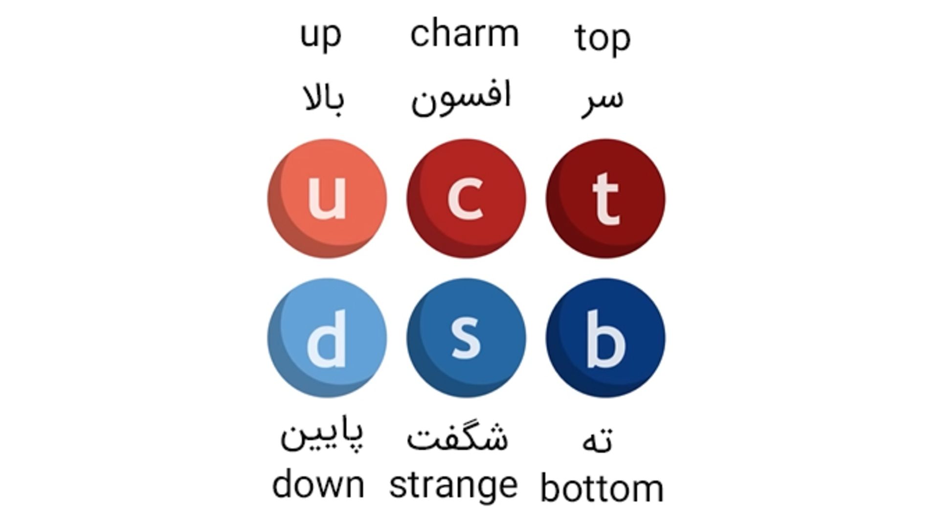 شش نوع کوارک مختلف