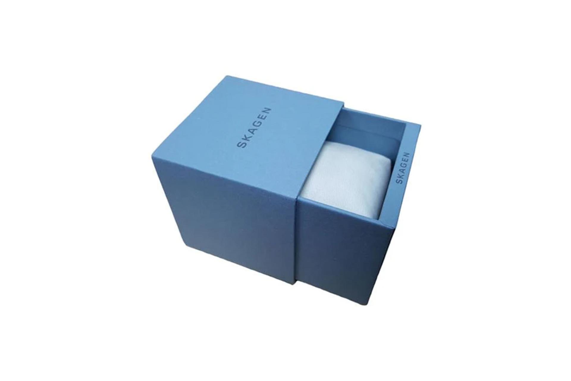 جعبه ساعت مچی زنانه اسکاگن Hald SKW2499