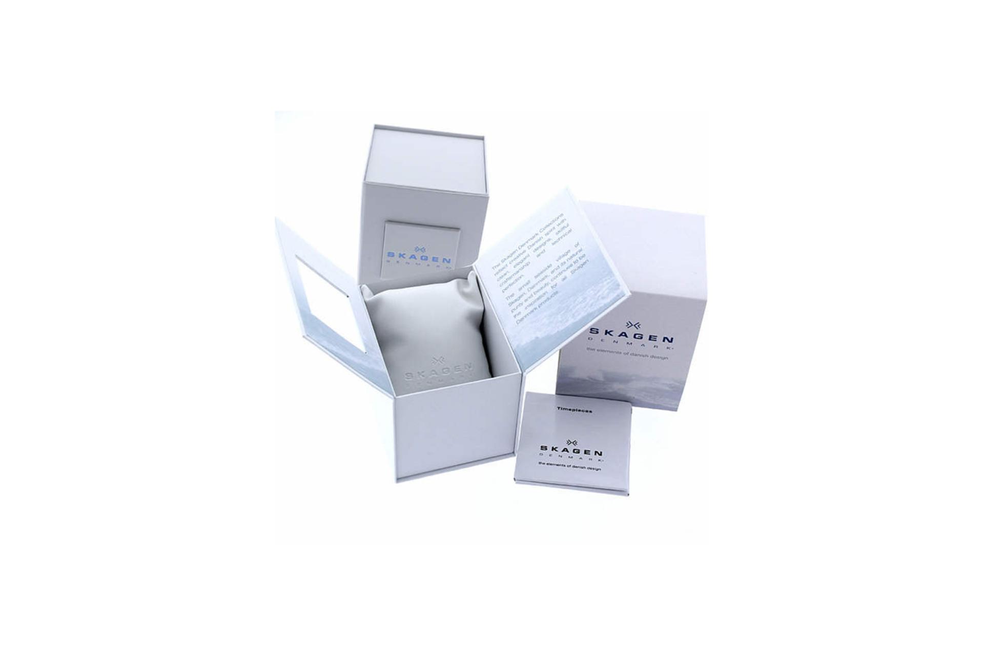 جعبه ساعت مچی زنانه اسکاگن Hald SKW2507