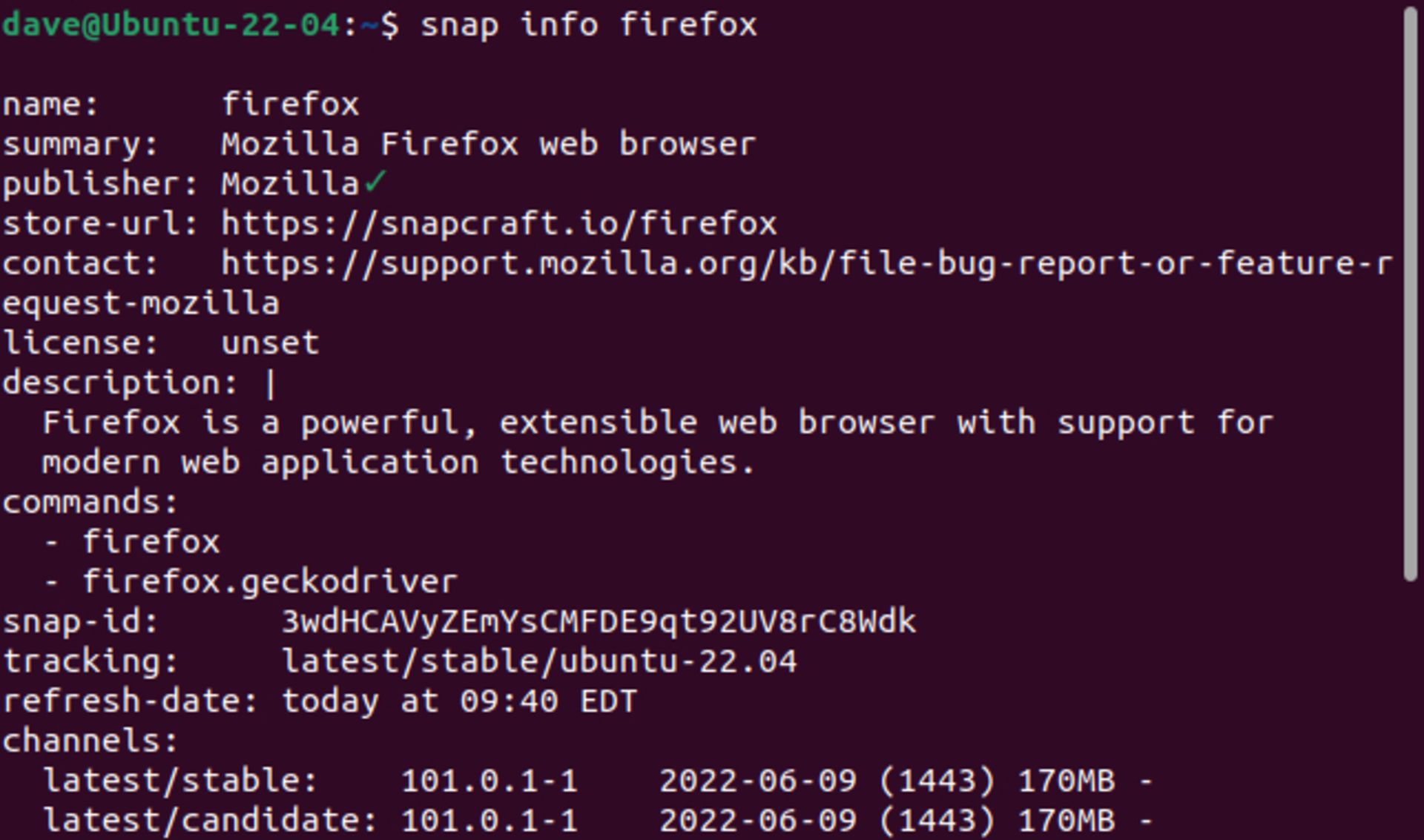 دستور snap info firefox و خروجی آن در اوبونتو
