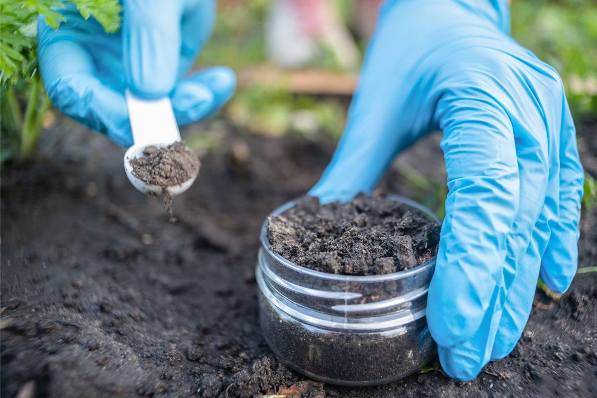 نمونه گیری از خاک