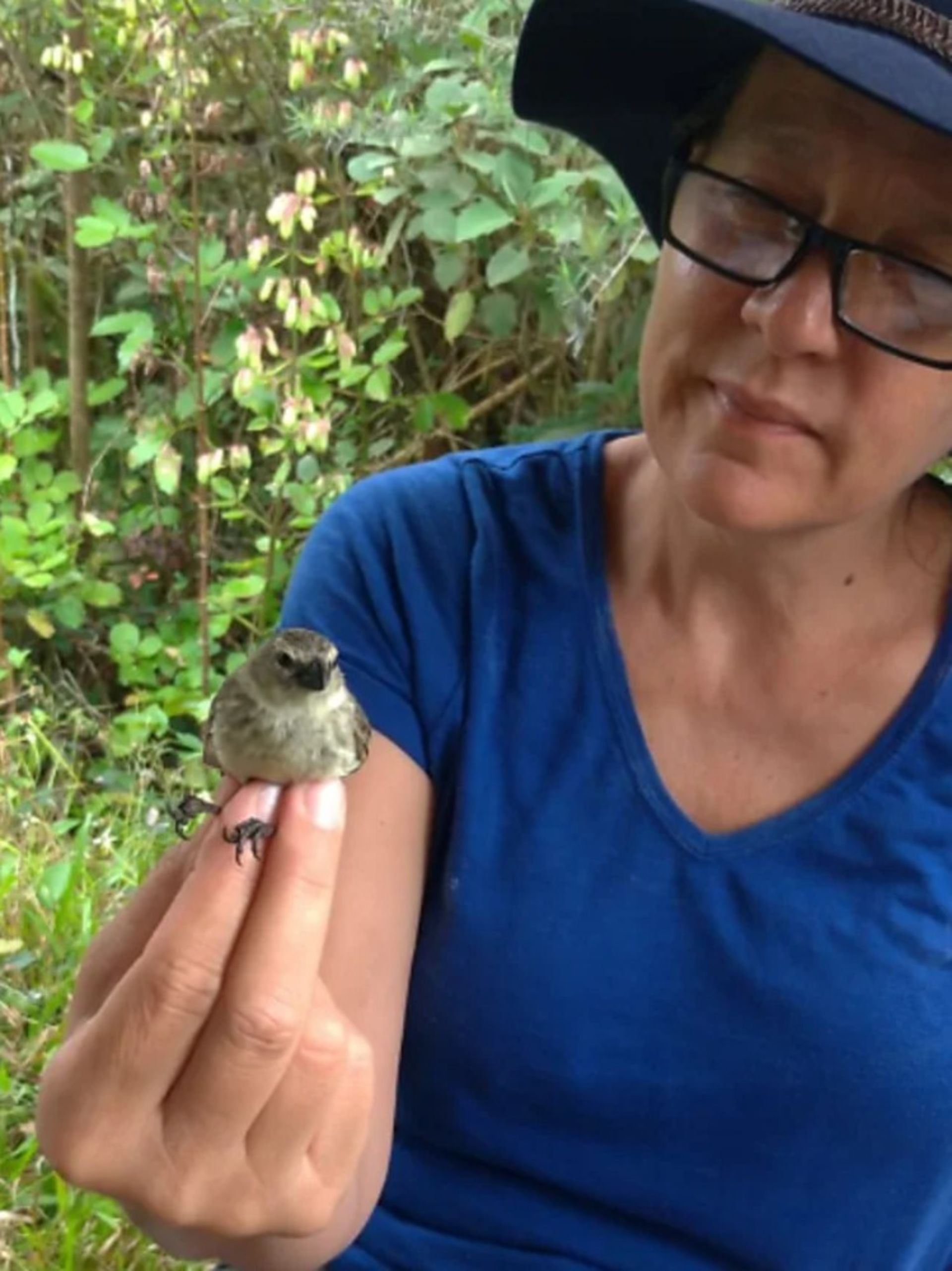 سونیا کلایندورفر یک سهره درختی کوچک را در دست دارد.