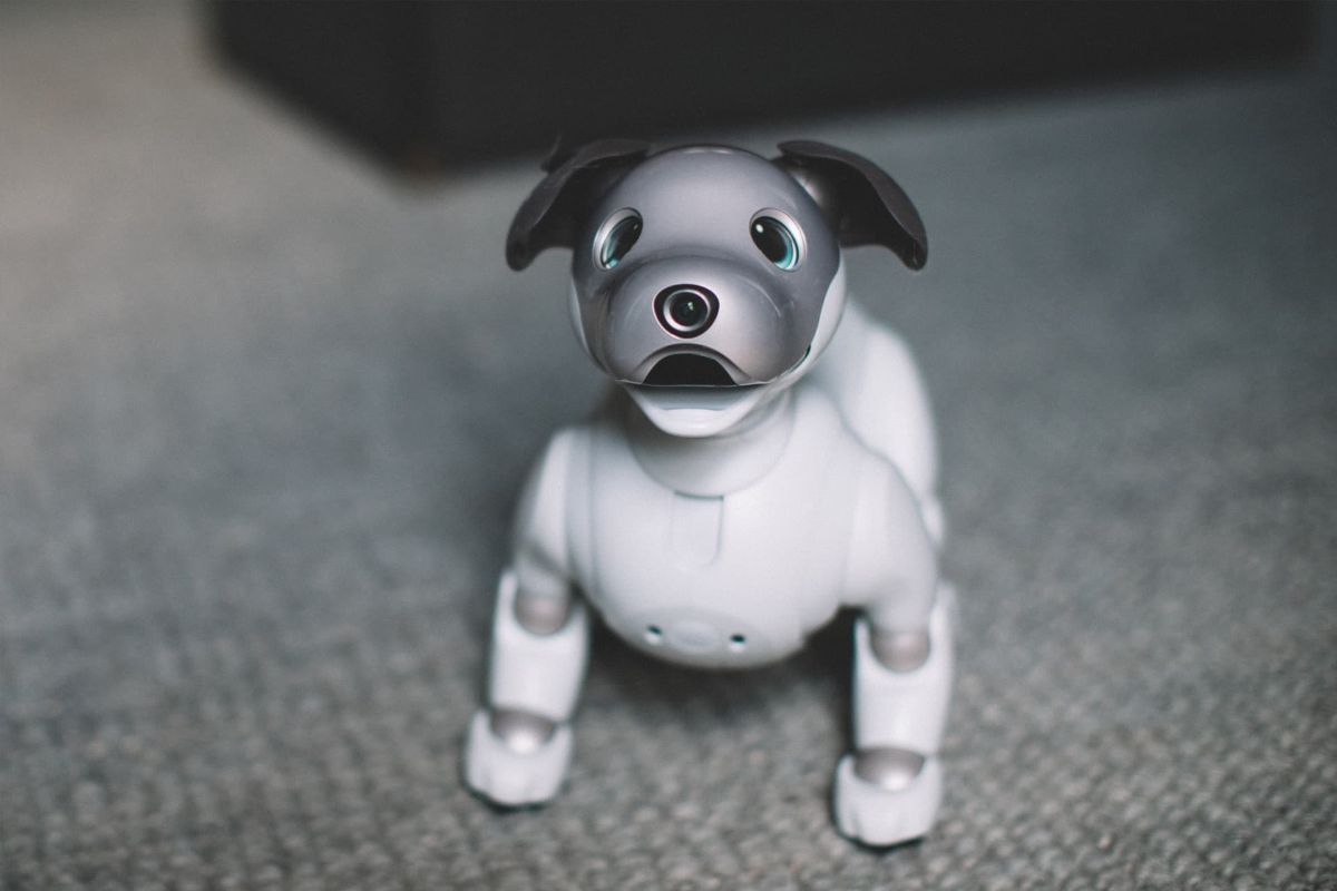 Front view of Sony Aibo robotic dog