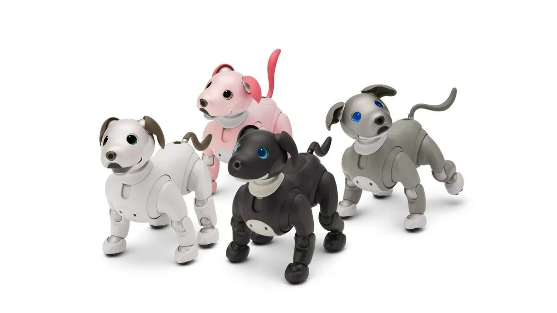 چهار سگ رباتیک ایبو aibo سونی در رنگ های مختلف