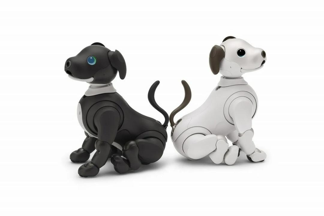 سگ رباتیک ایبو aibo مشکی و سفید