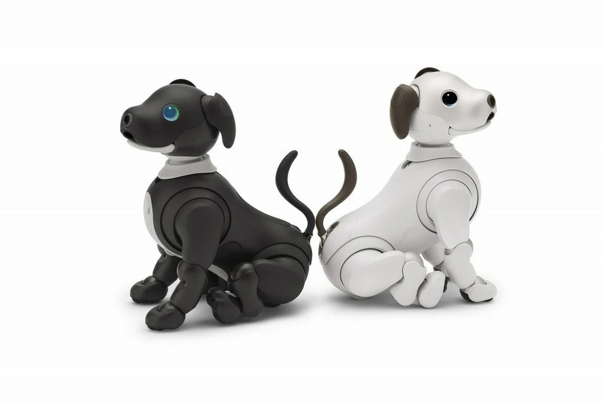سگ رباتیک ایبو aibo مشکی و سفید