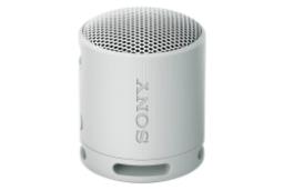 اسپیکر سونی SRS-XB100 رنگ خاکستری