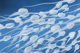 آیا تعداد اسپرم مردان در جهان واقعا رو به کاهش است؟