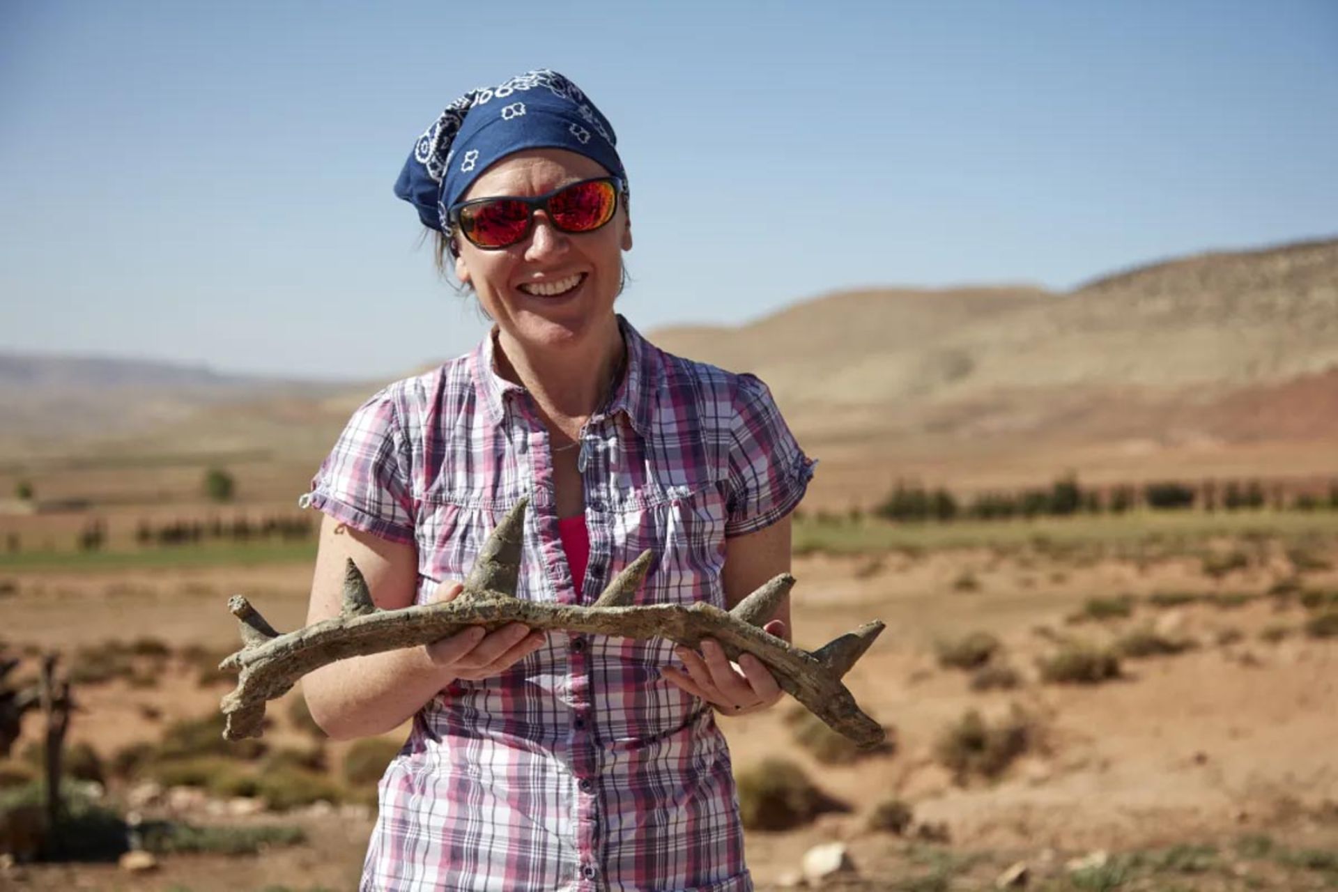 سوزانا میدمنت فسیل اسپیکوملوس را در دست گرفته است