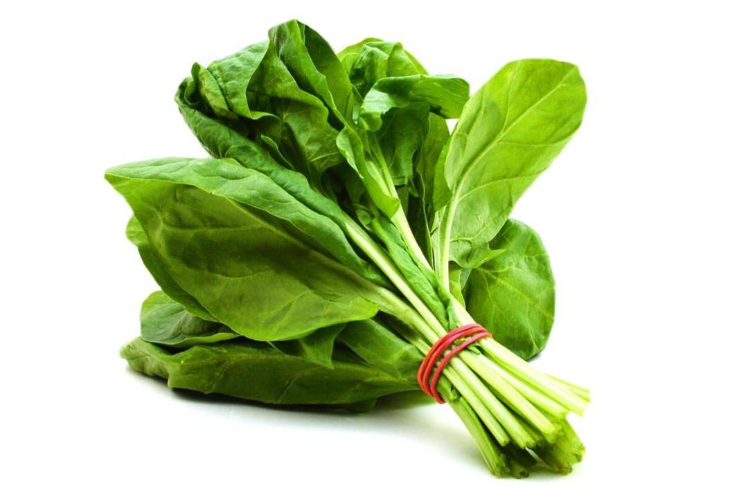 اسفناج