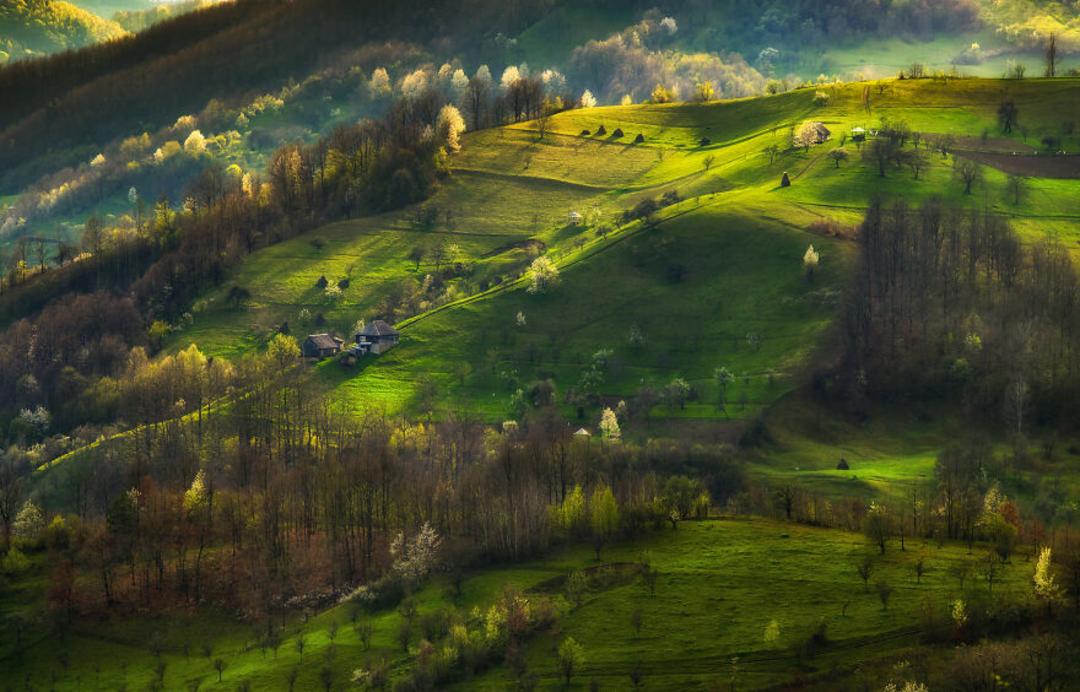دشت سرسبز در رومانی