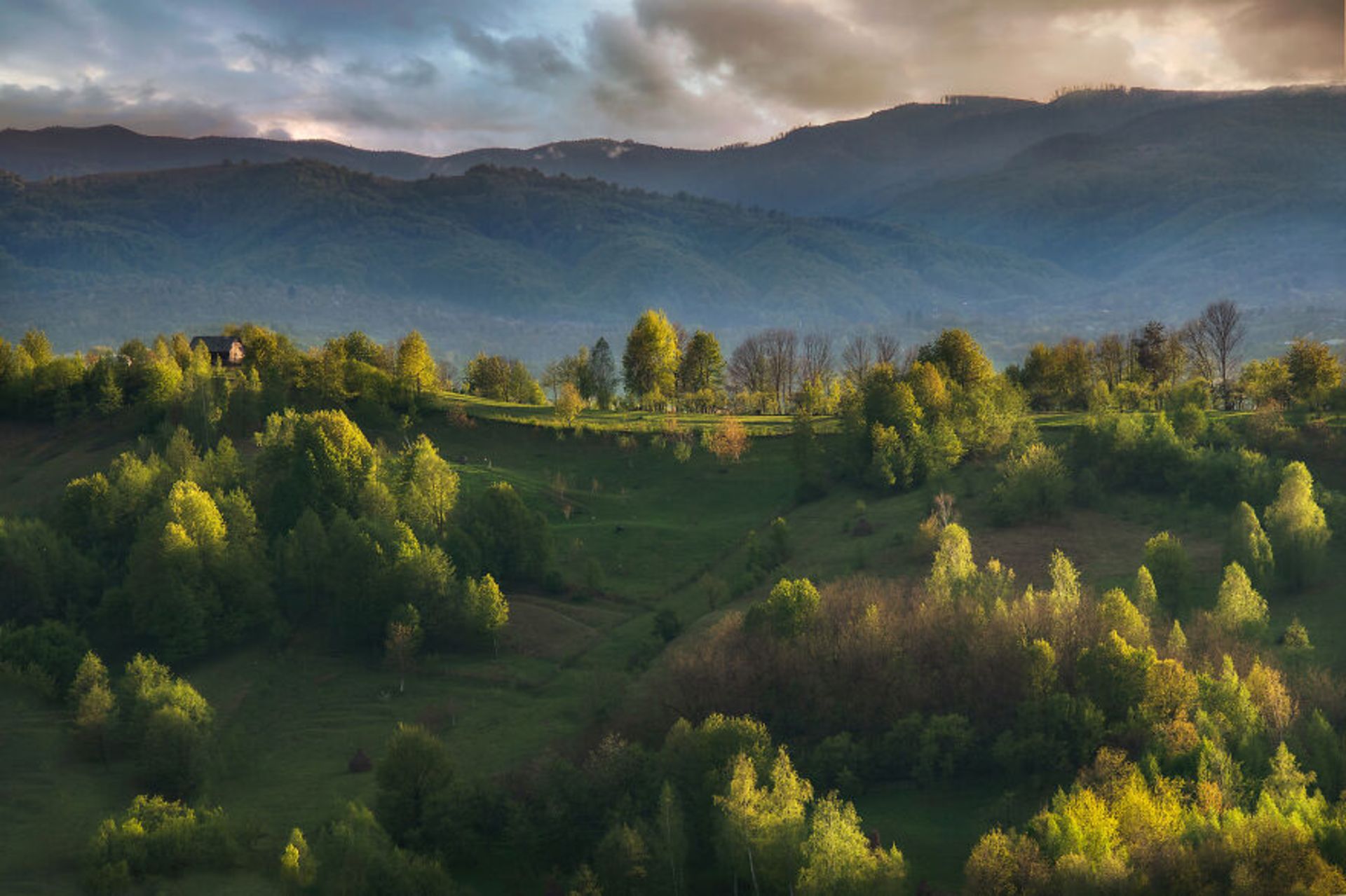 طبیعت رومانی در بهار
