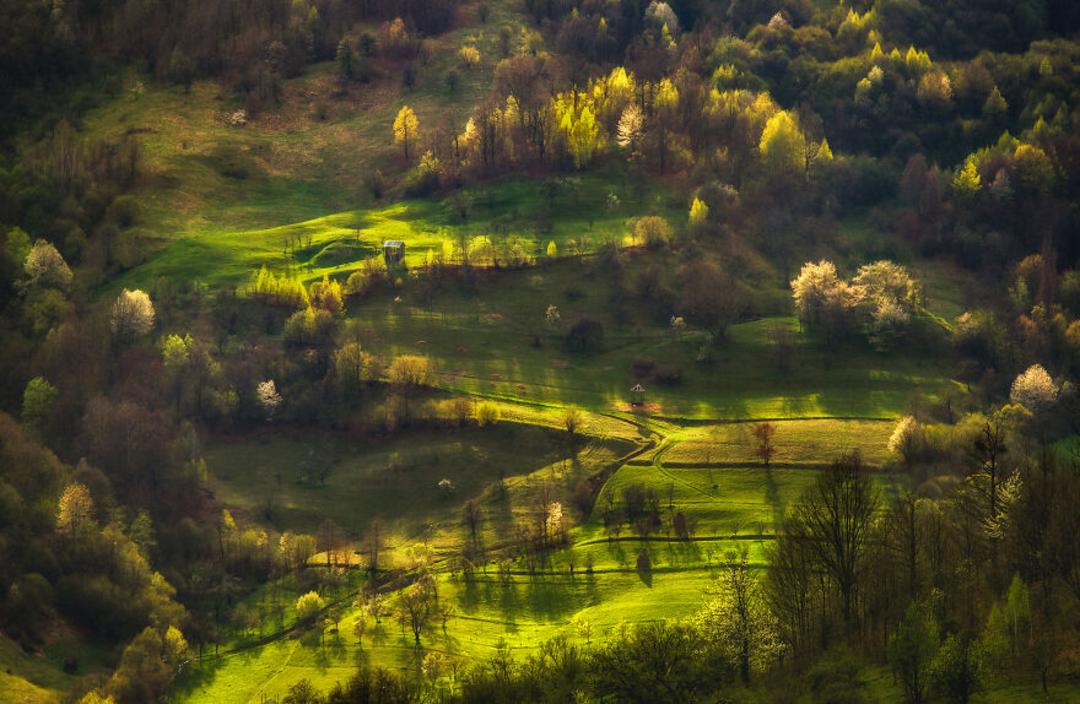منظره سبز بهاری رومانی
